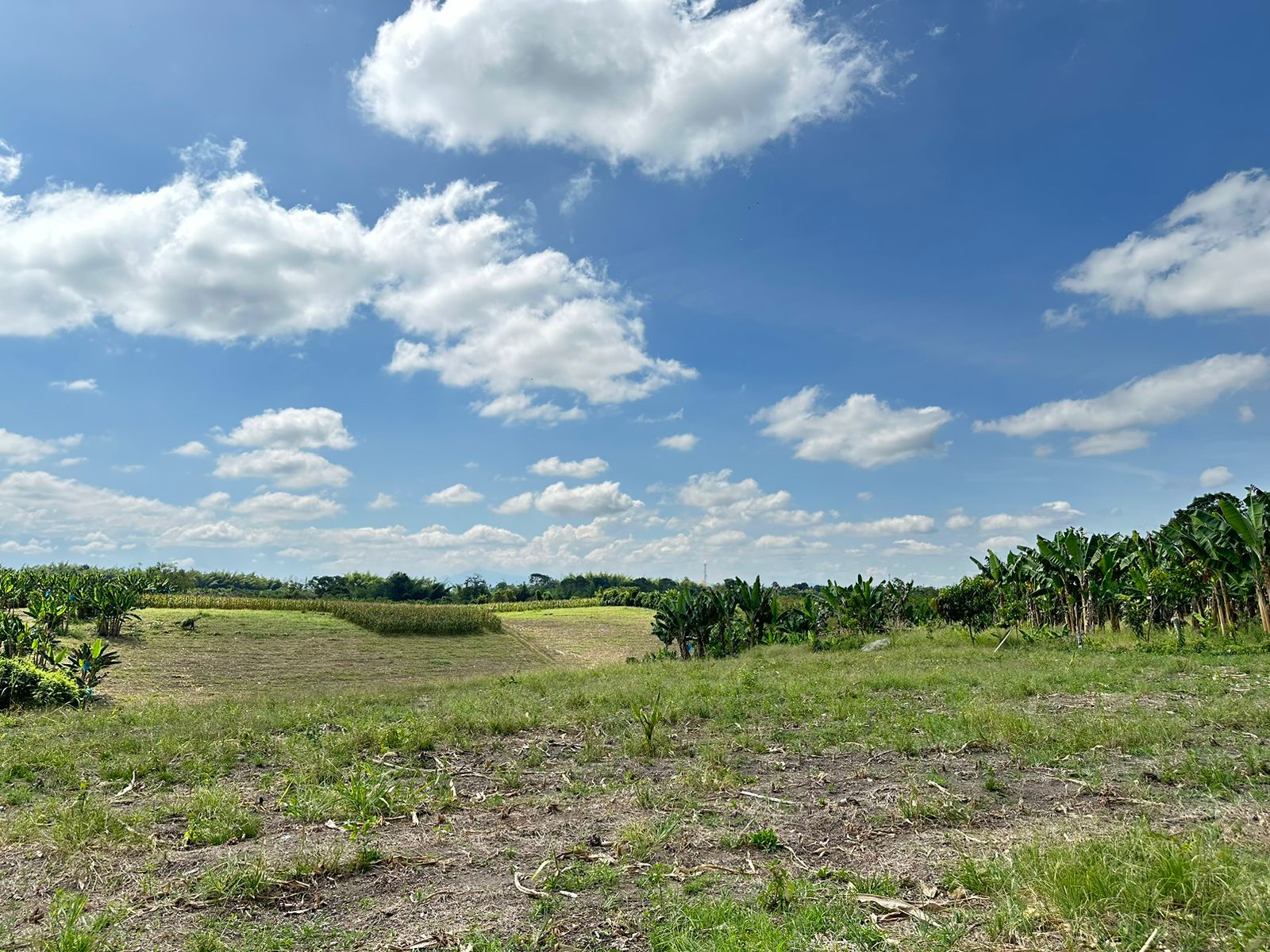 se vende finca lote tebaida- quindio (22).jpg
