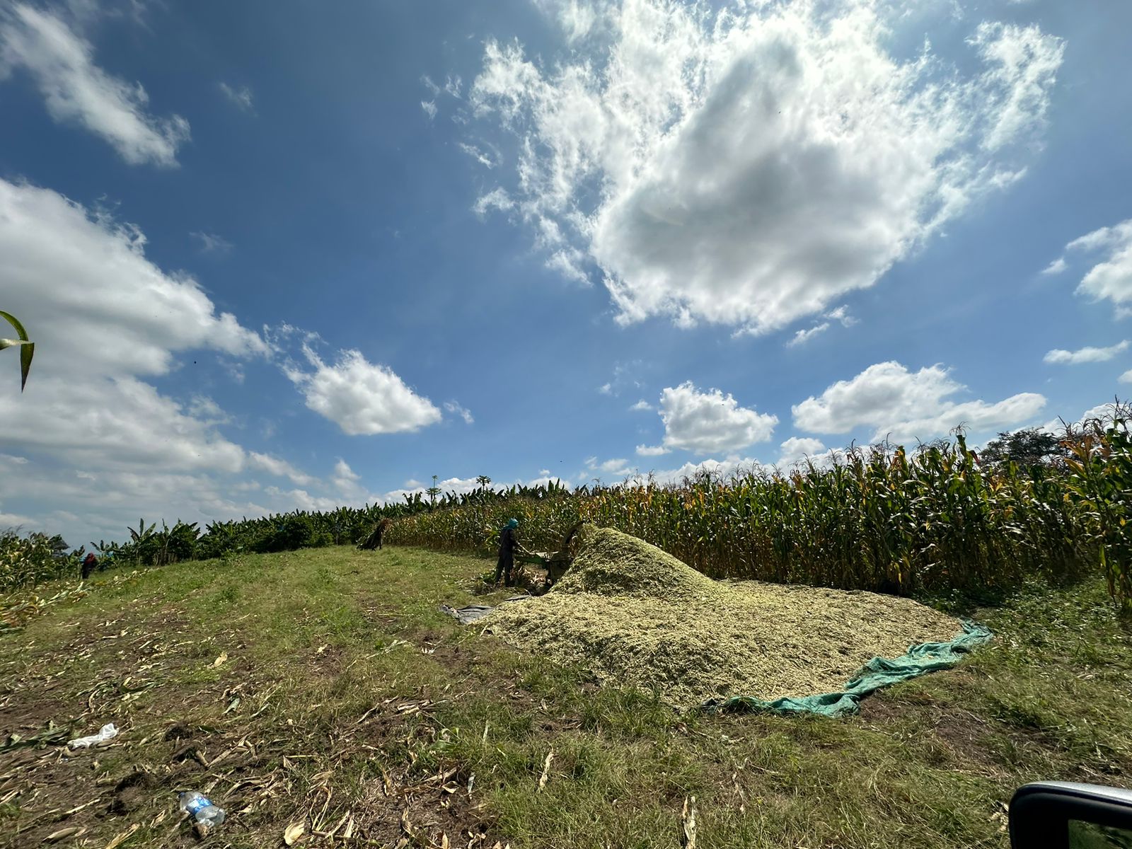se vende finca lote tebaida- quindio (23).jpg
