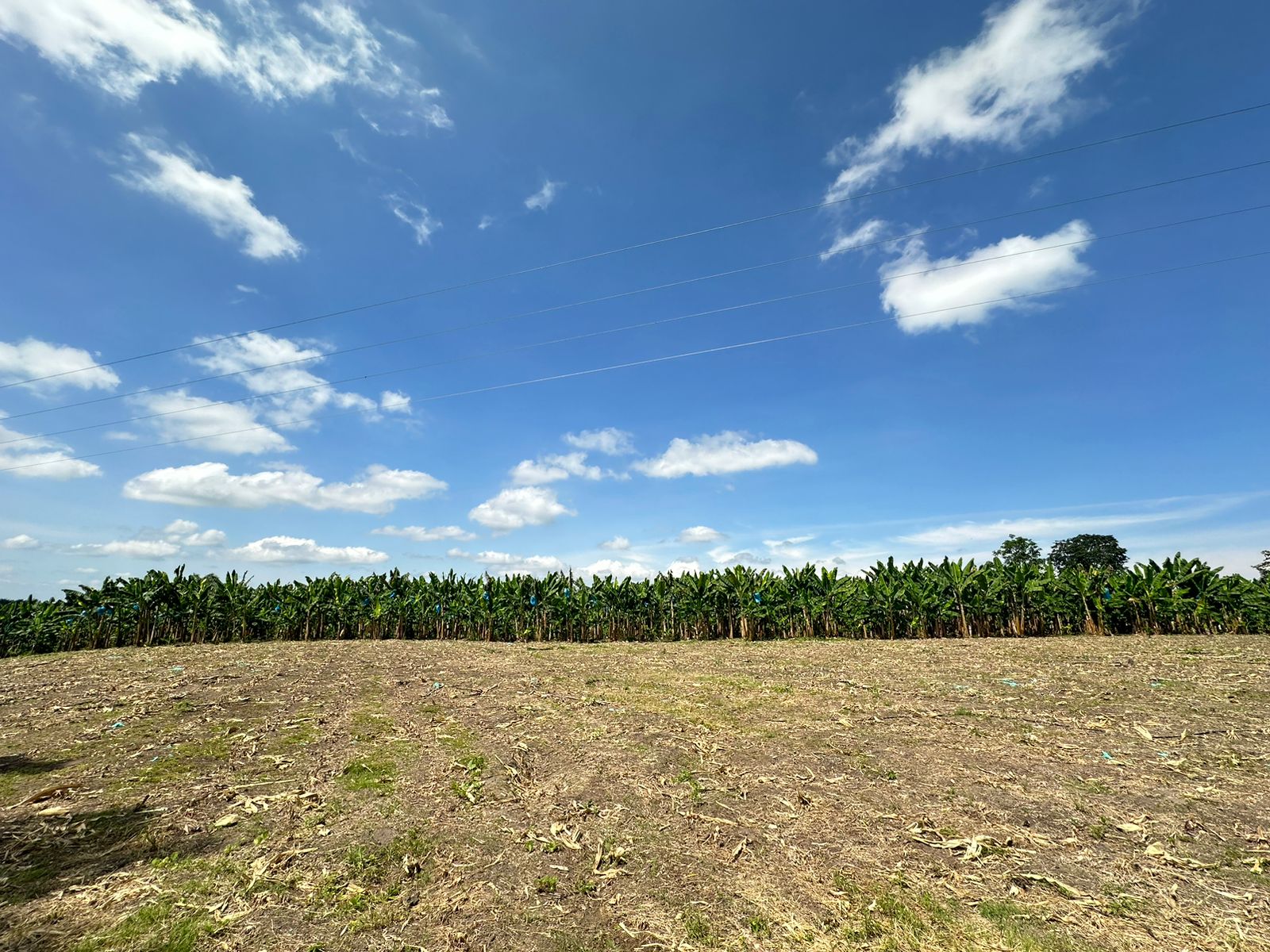 se vende finca lote tebaida- quindio (24).jpg
