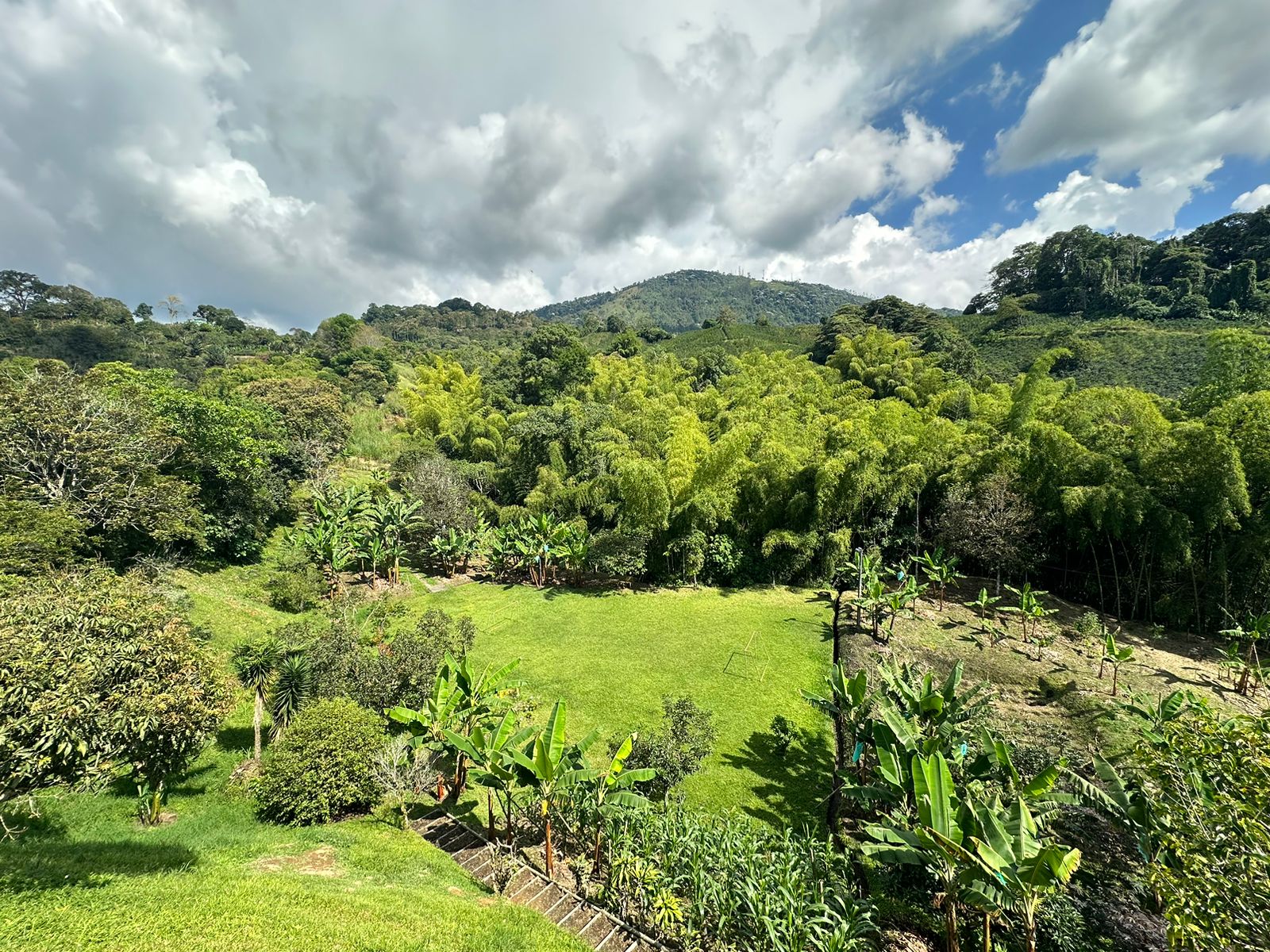 se vende finca en calarca- quindío (1).jpg