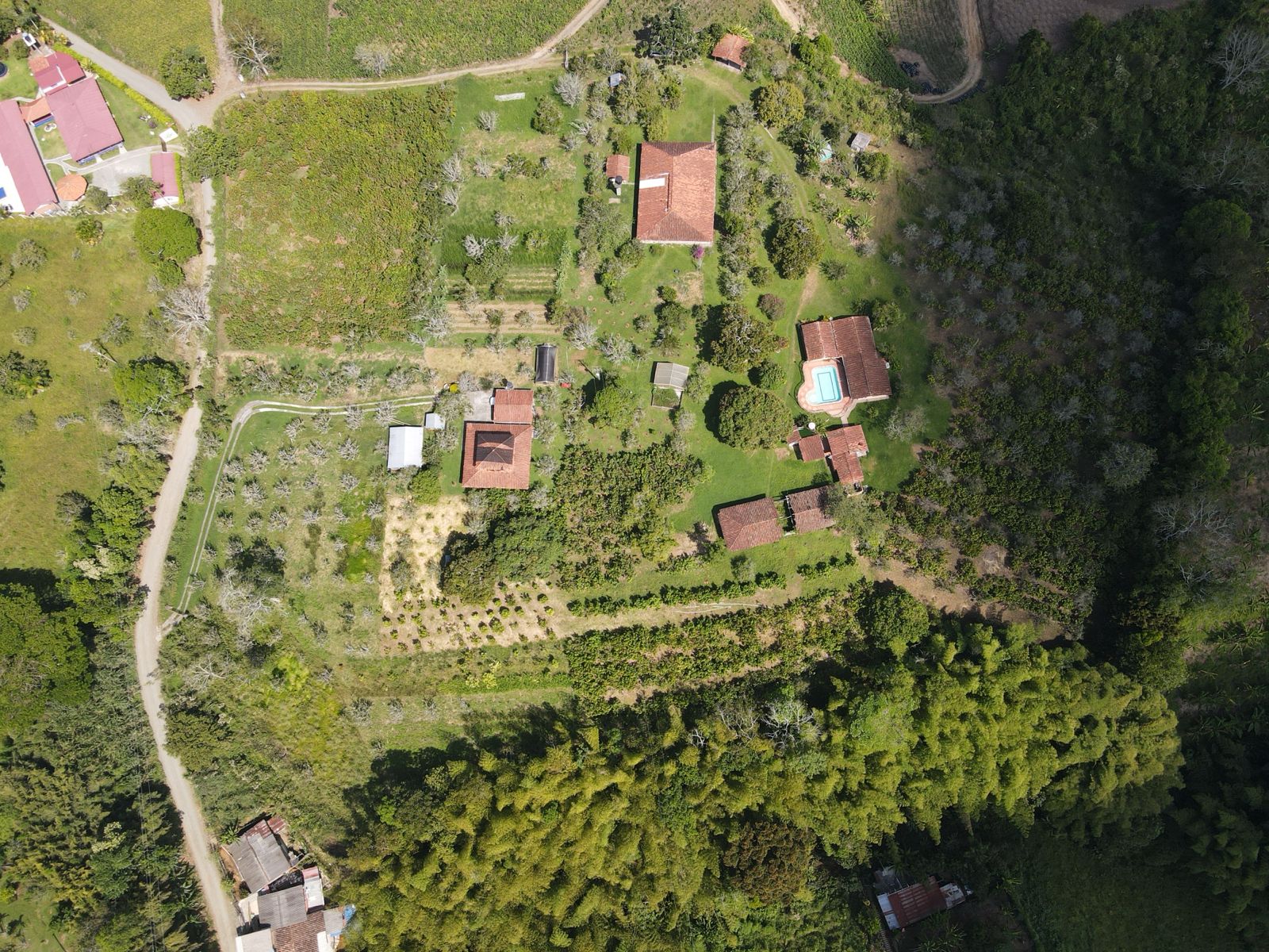 se vende finca en el municipio de quimbaya (12).jpg