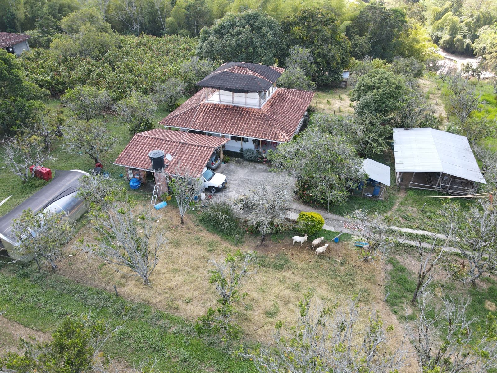 se vende finca en el municipio de quimbaya (4).jpg
