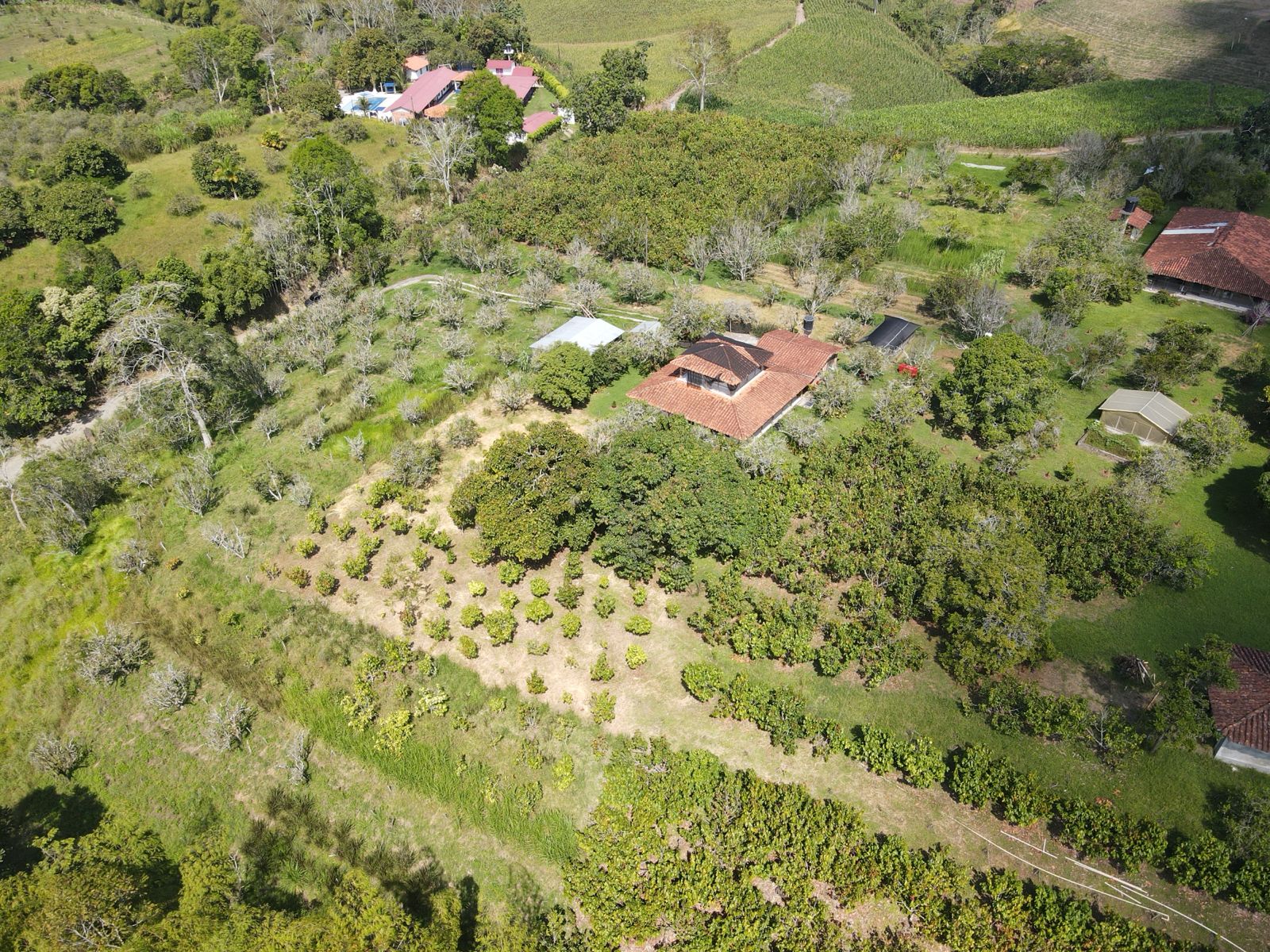 se vende finca en el municipio de quimbaya (6).jpg