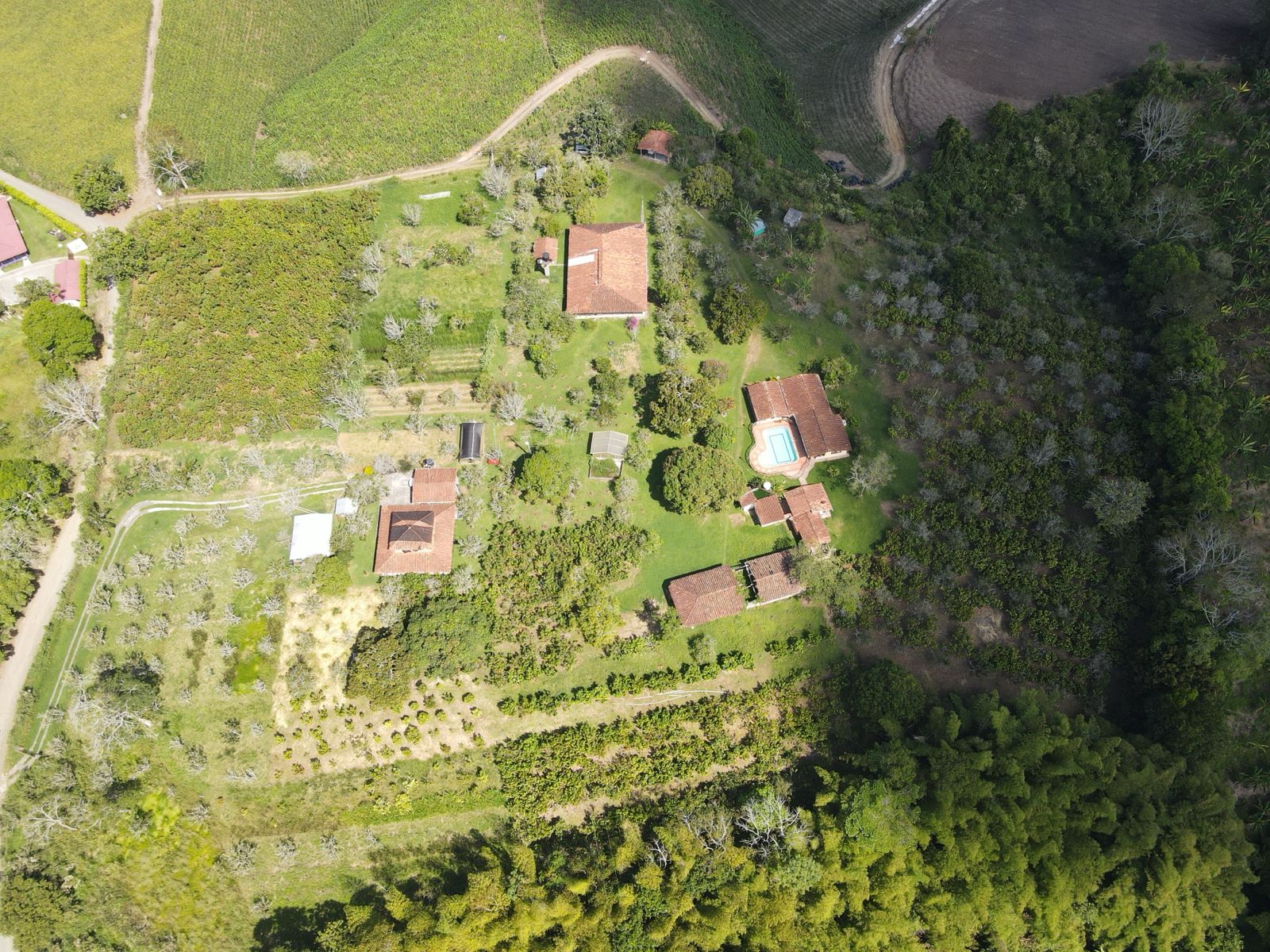 se vende finca en el municipio de quimbaya (9).jpg