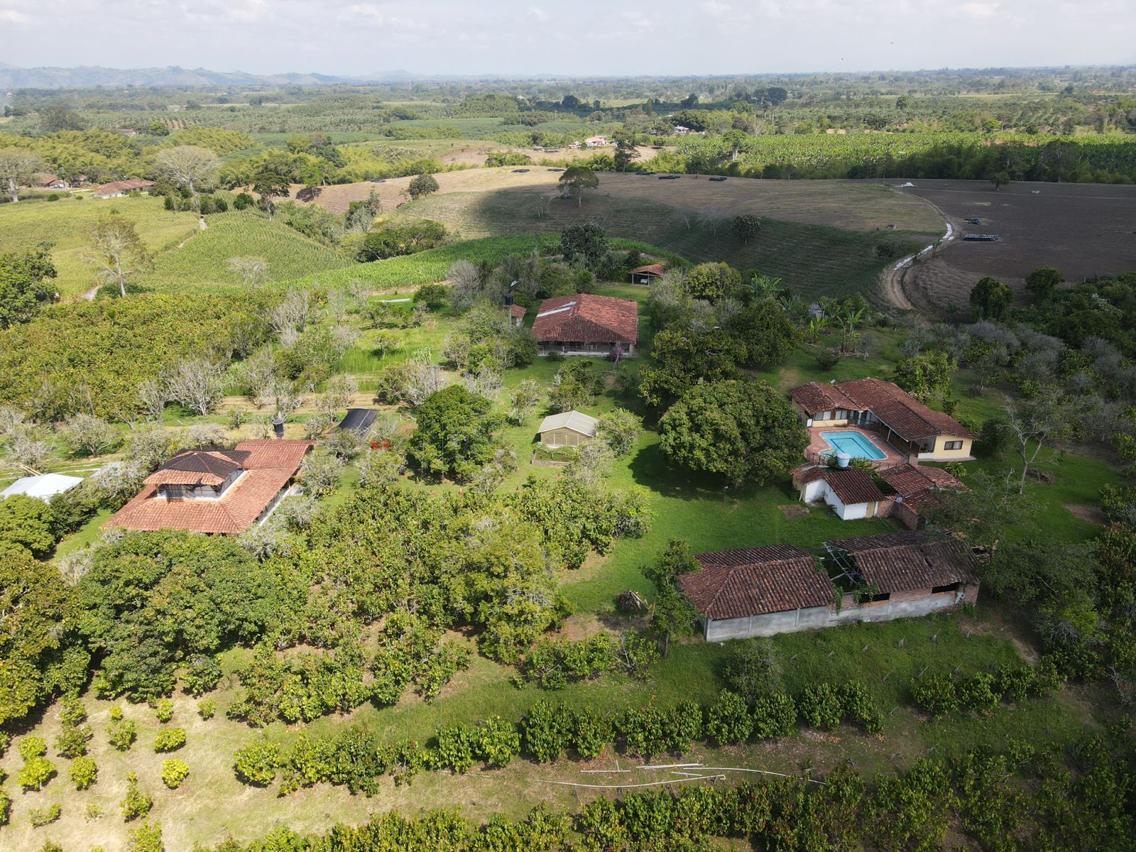 se vende finca en el municipio de quimbaya (7).jpg