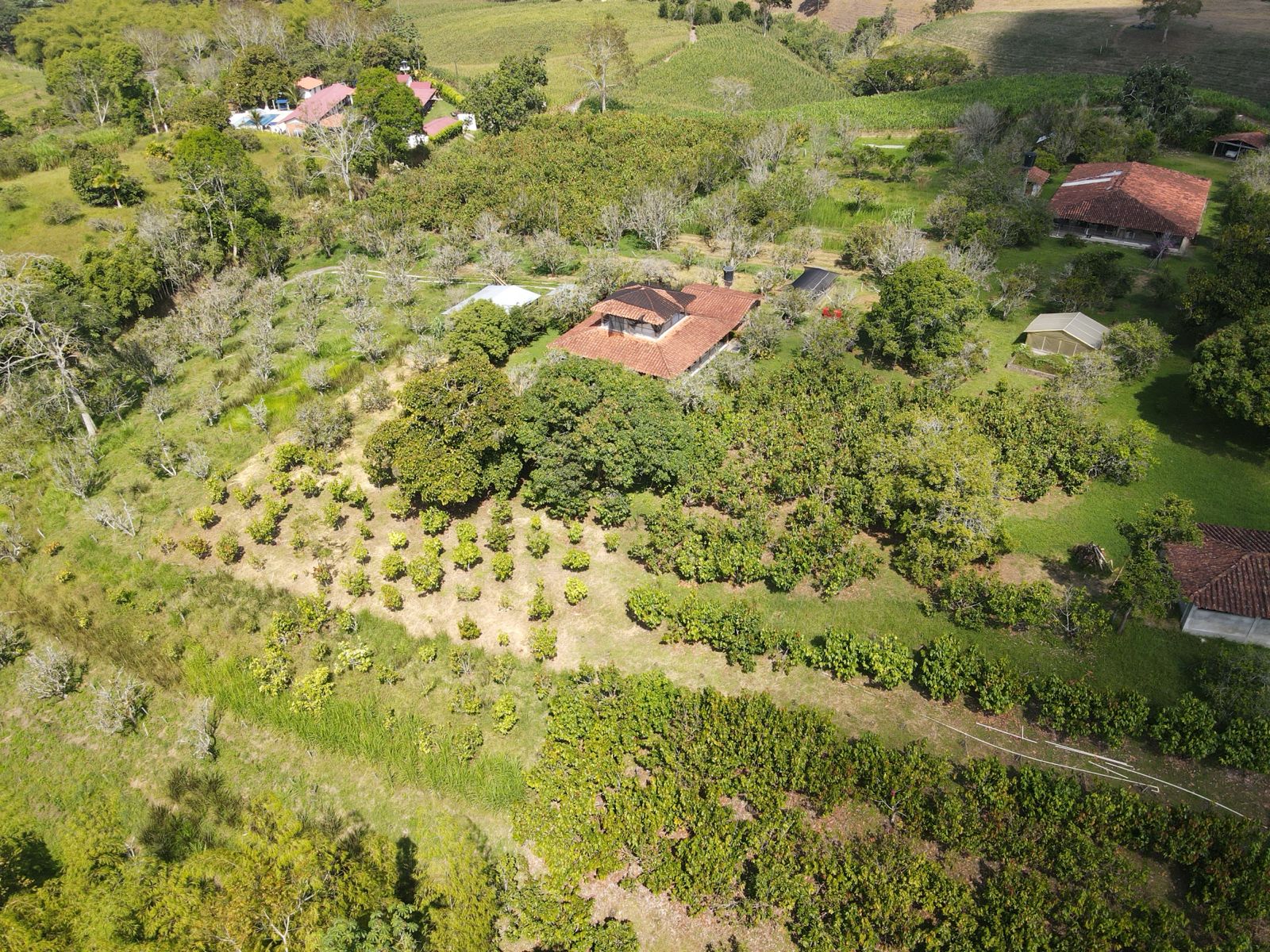se vende finca en el municipio de quimbaya (10).jpg
