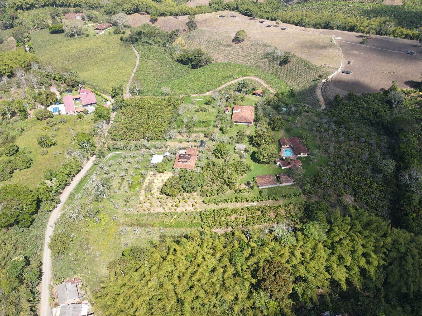 se vende finca en el municipio de quimbaya (13).jpg