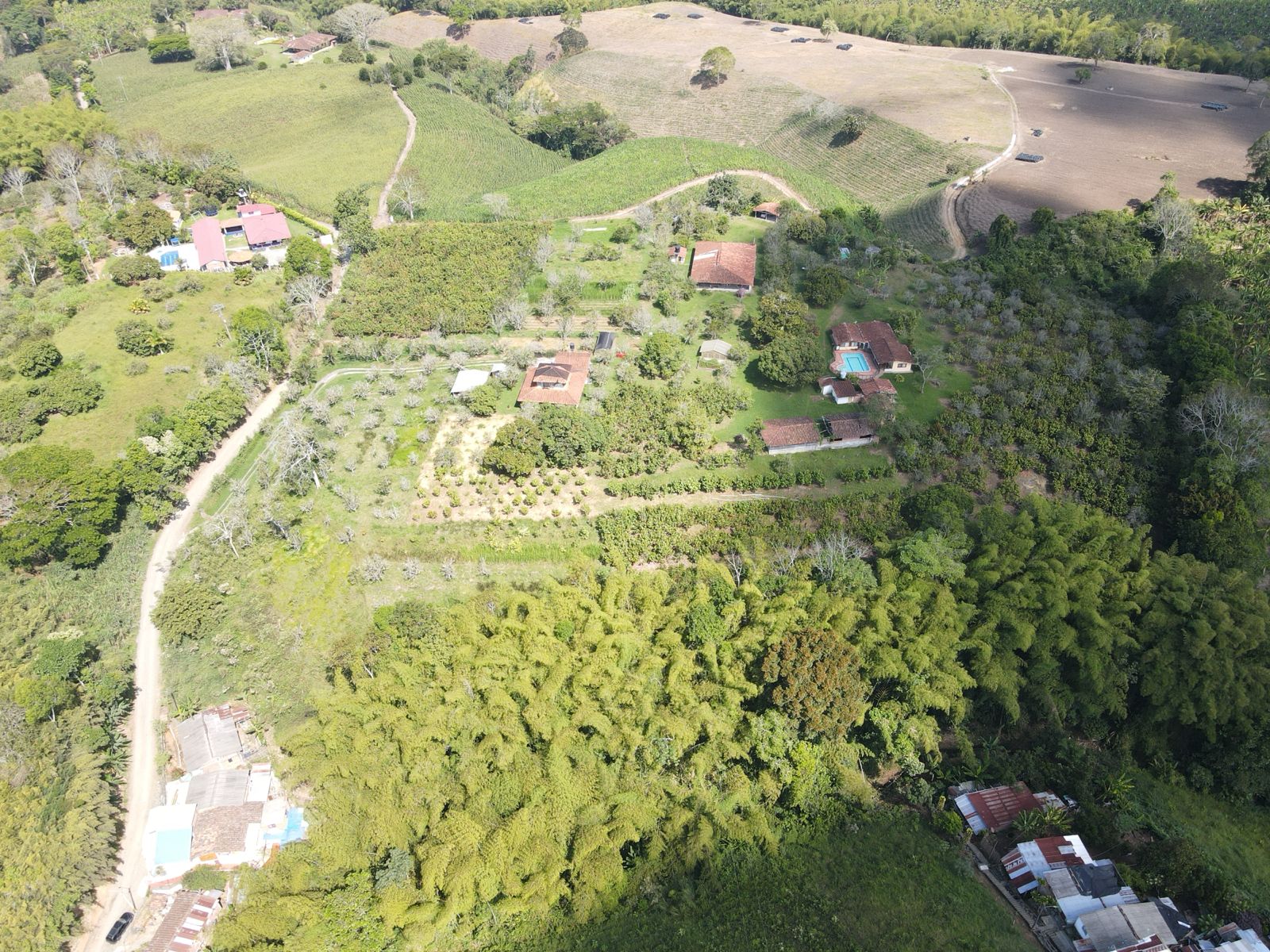 se vende finca en el municipio de quimbaya (14).jpg