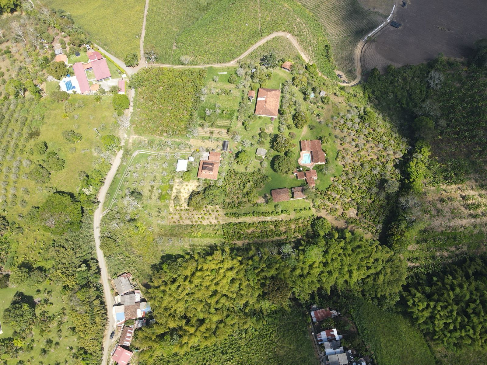 se vende finca en el municipio de quimbaya (15).jpg