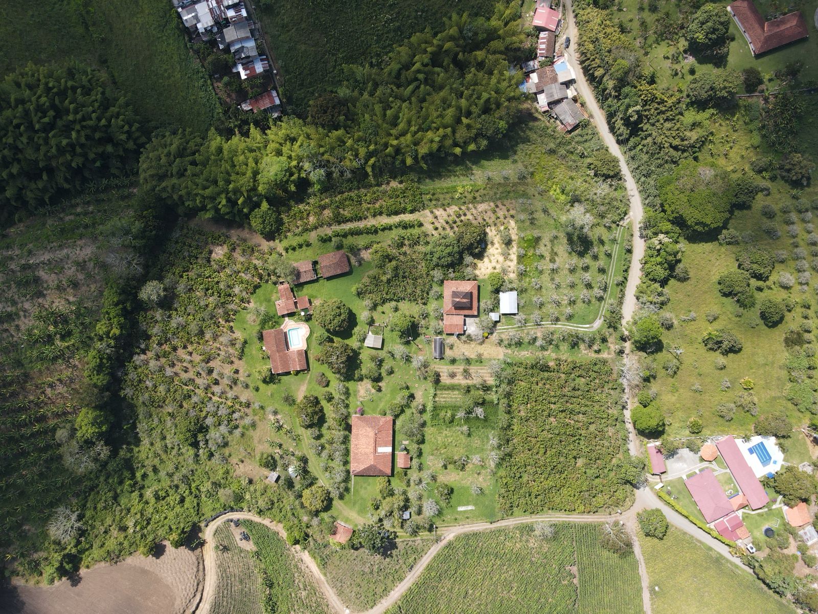 se vende finca en el municipio de quimbaya (16).jpg