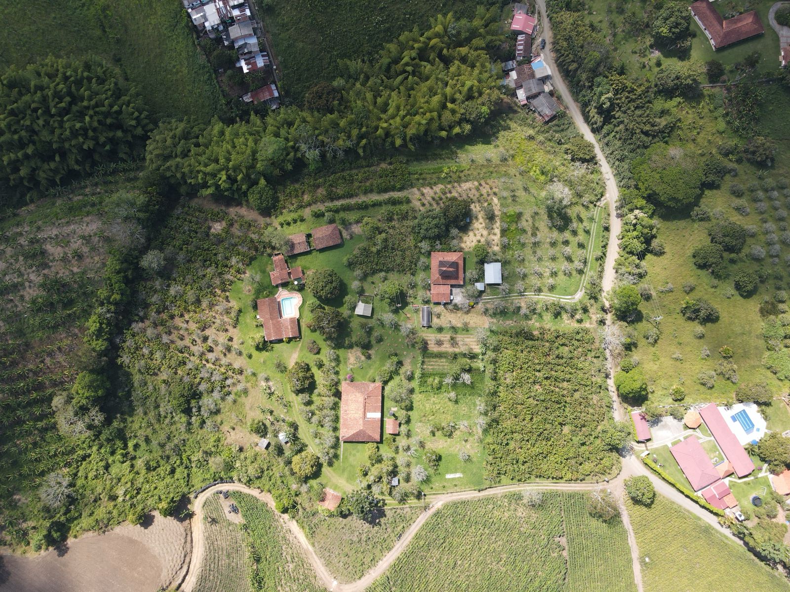se vende finca en el municipio de quimbaya (19).jpg