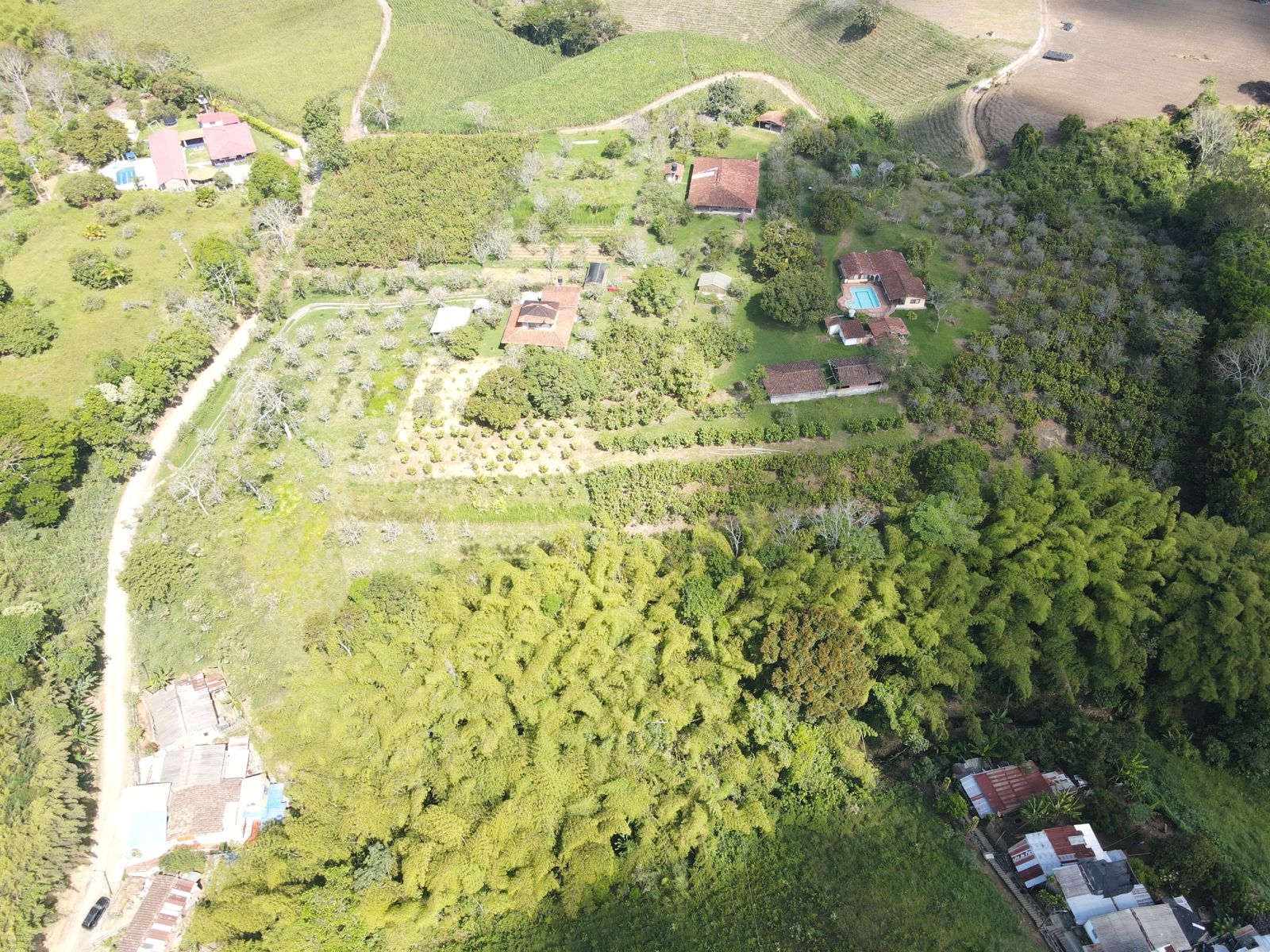 se vende finca en el municipio de quimbaya (21).jpg