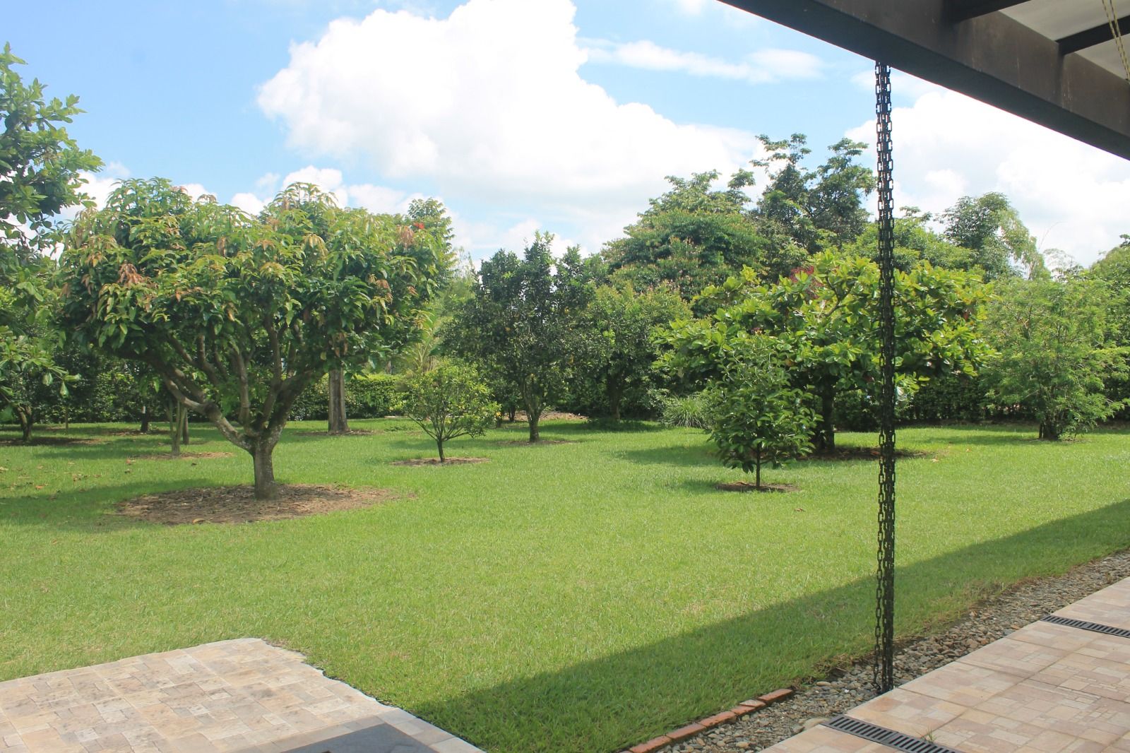 se vende casa campestre en el quindio (15).jpg