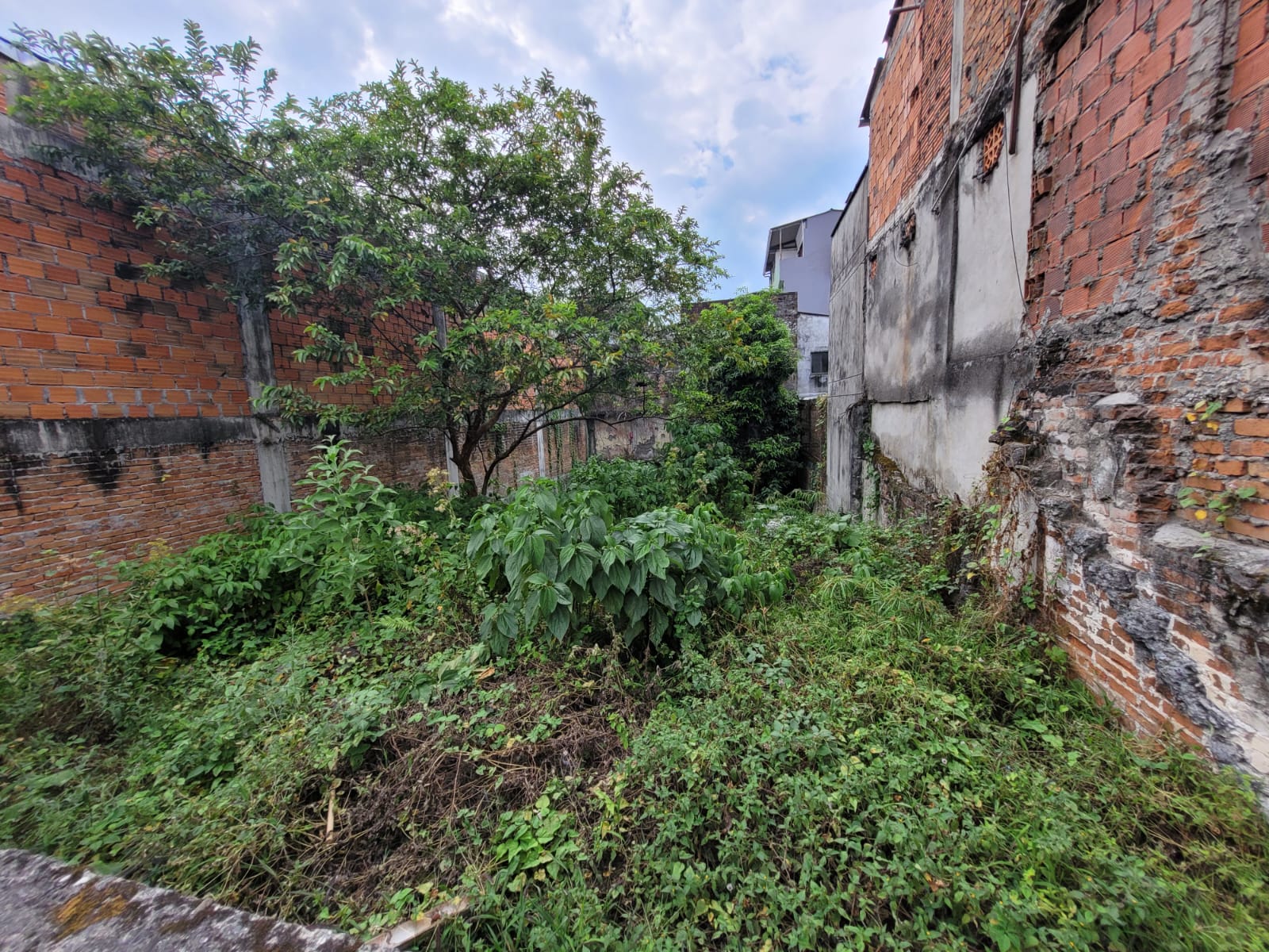 Se vende lote en armenia- quindio  (1).jpg
