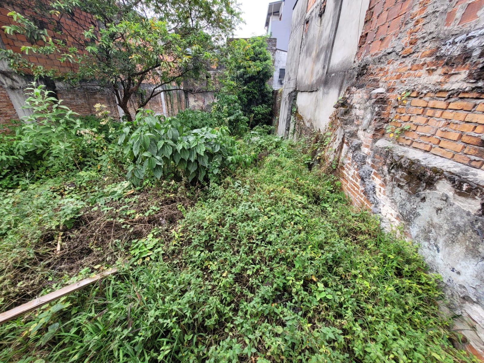 Se vende lote en armenia- quindio  (2).jpg