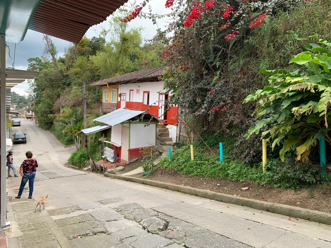 Casa Lote venta Municipio de Salento Quindío sector Mirador (8)