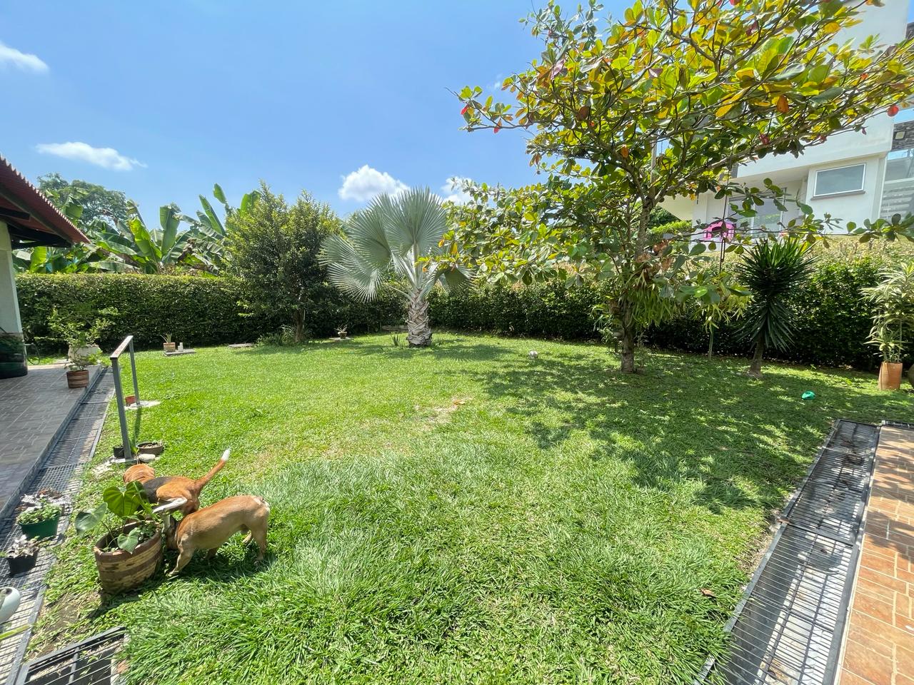 se vende casa campestre Armenia, Quindio (33).jpg