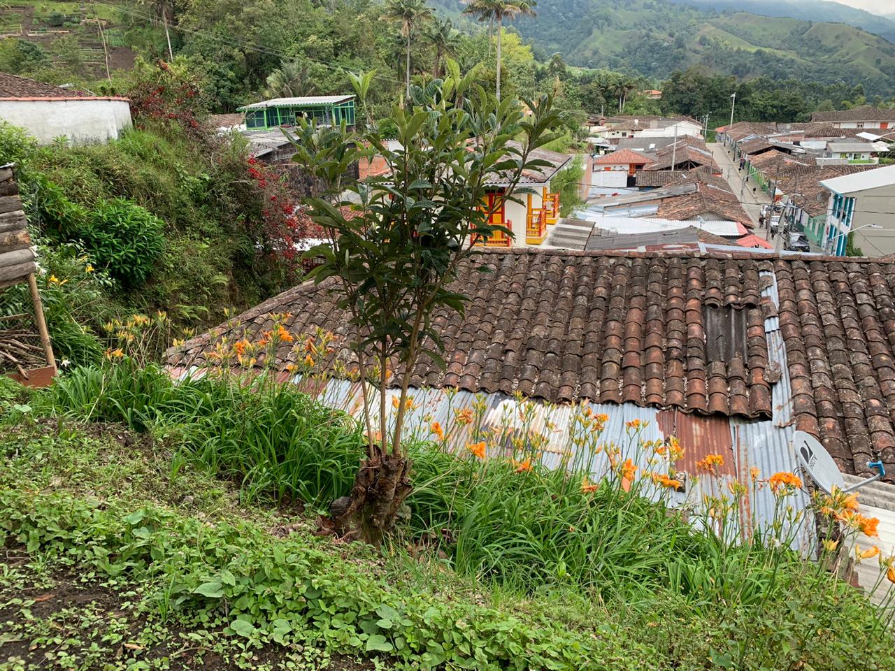 Casa Lote venta Municipio de Salento Quindío sector Mirador (4)