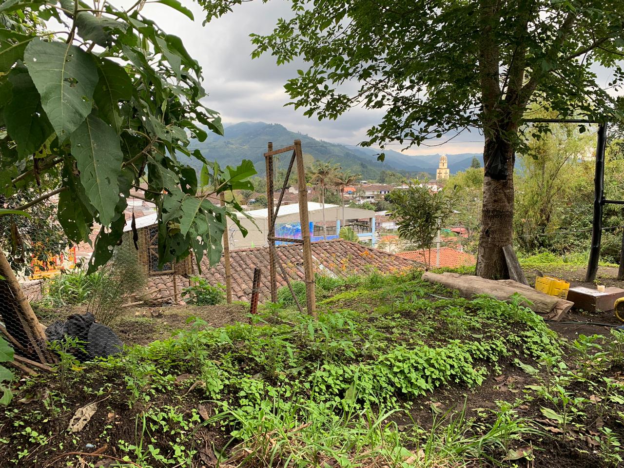 Casa Lote venta Municipio de Salento Quindío sector Mirador (15)