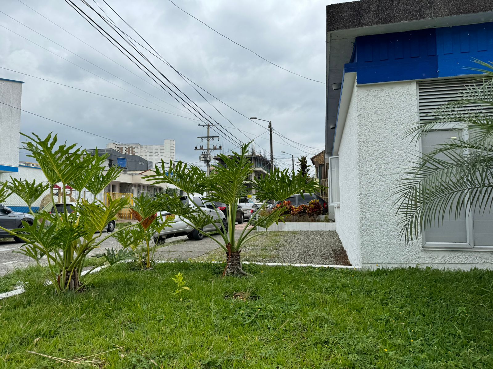 se arrienda casa comercial nueva cecilia (10).jpeg