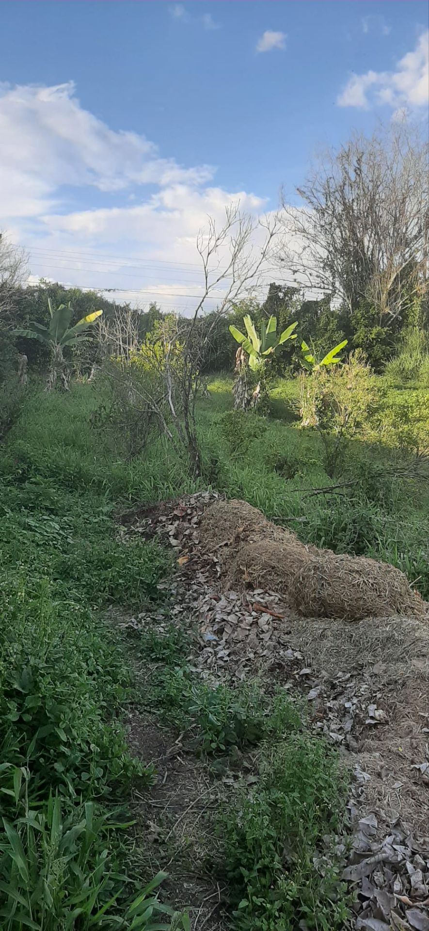 SE VEND LOTE VI EN LA TEBAIDA (14).jpg
