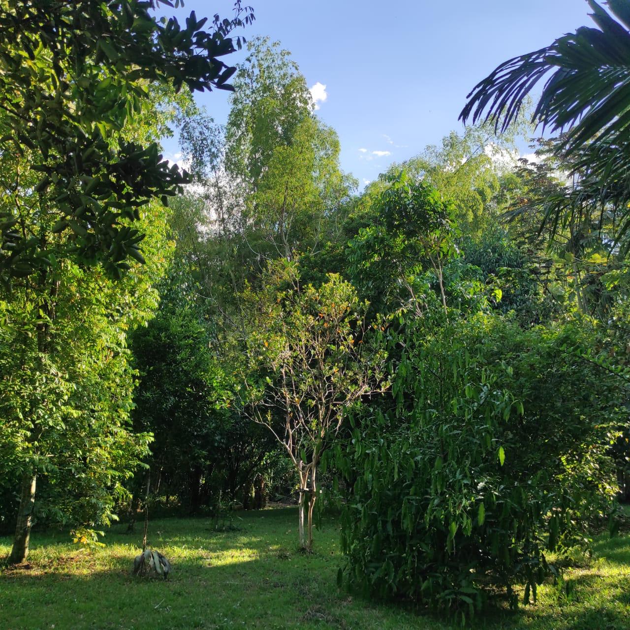 se  venda casa campestre en armenia (13).jpg