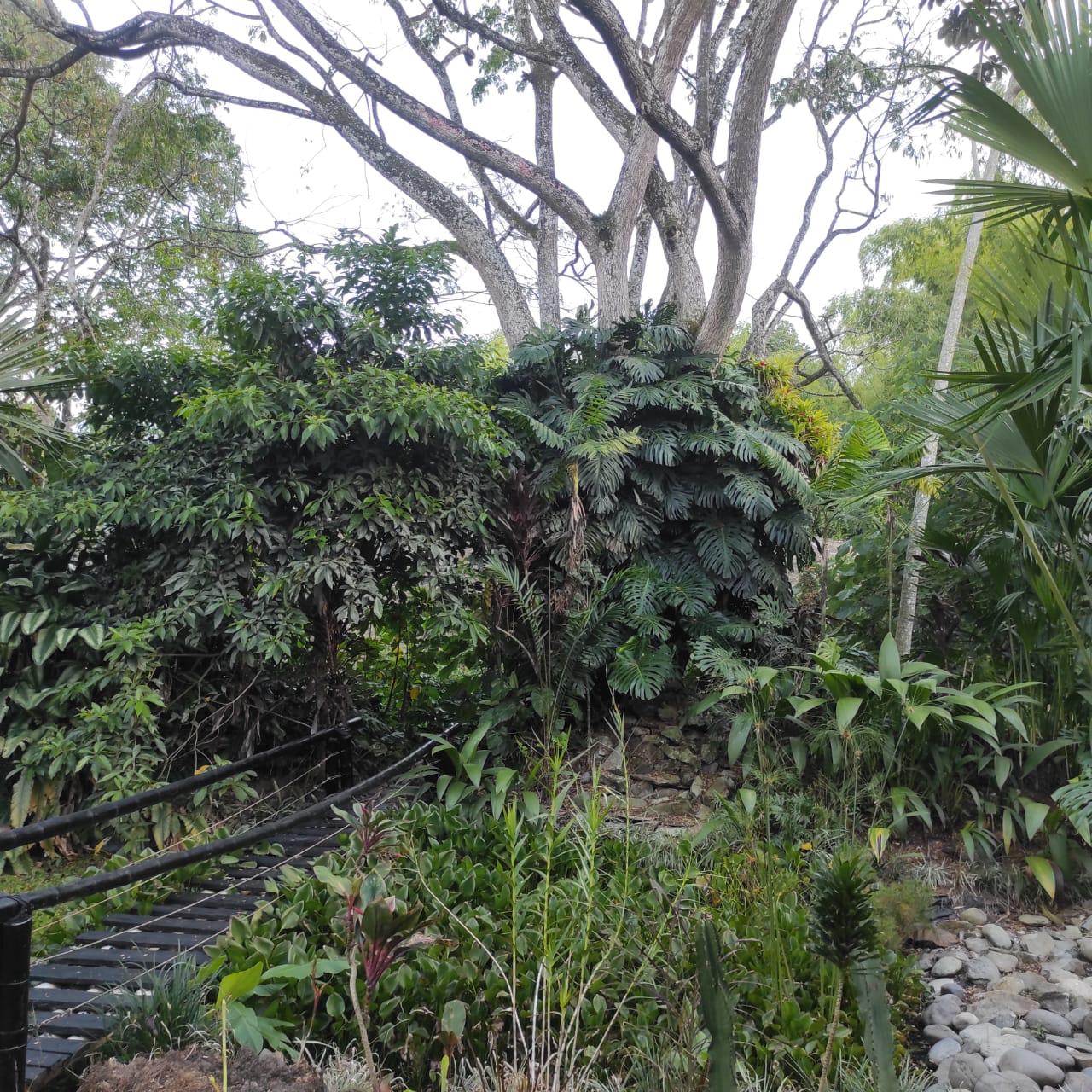 se  venda casa campestre en armenia (32).jpg