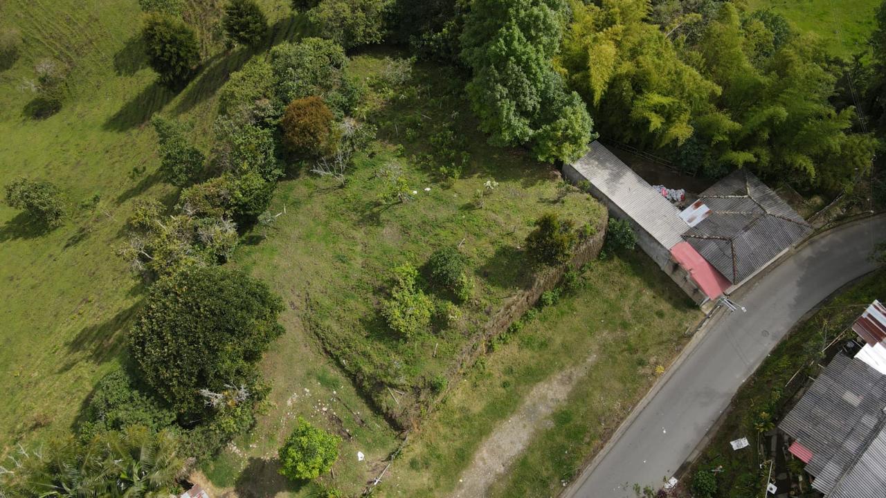se vende lote en salento (13).jpg
