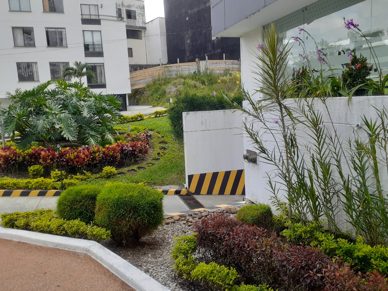 Apartamento Para Venta Sector Castellana Armenia Quindio (20).jpeg