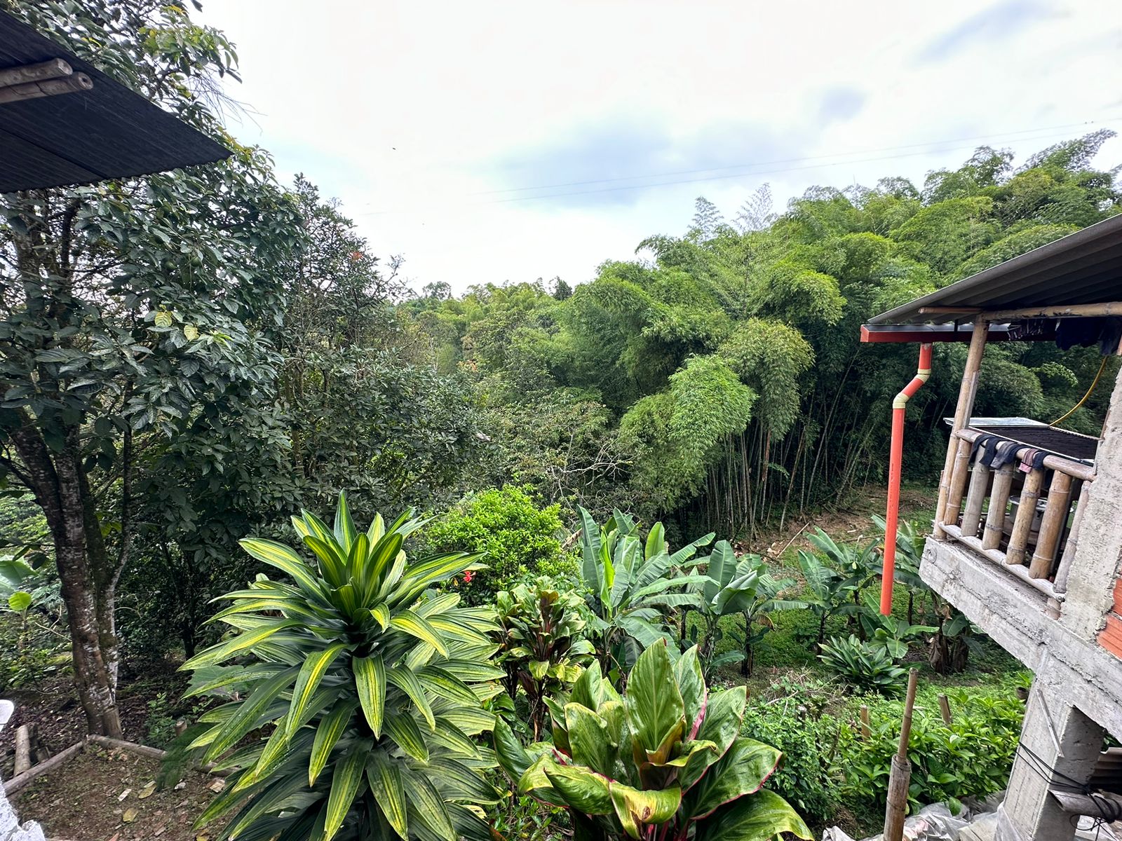 Finca Para Venta Sector La India Filandia Quindio (17).jpeg
