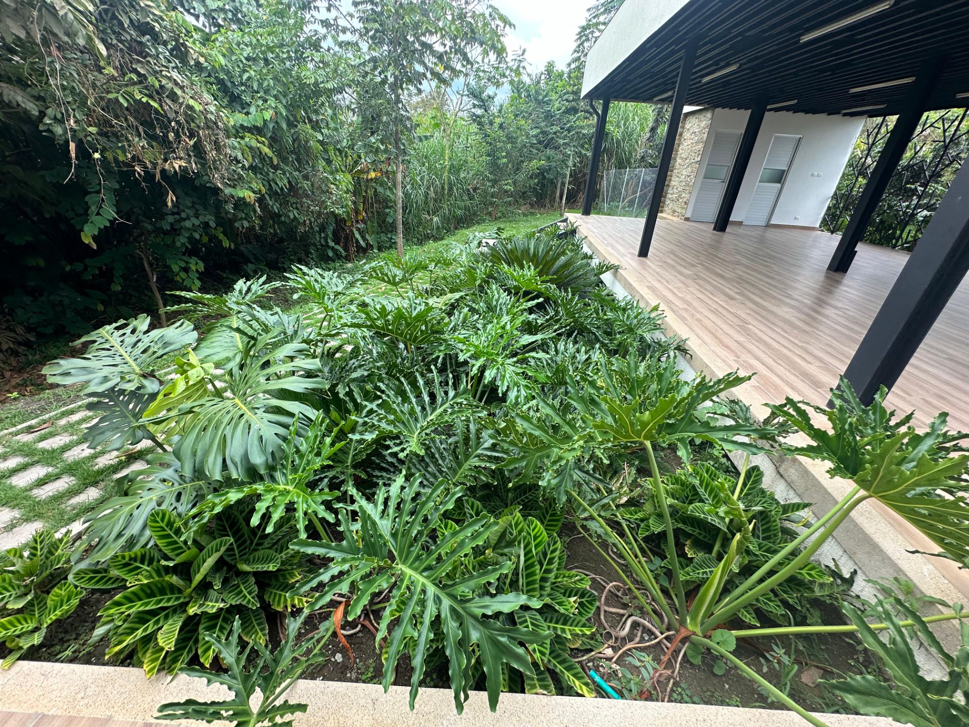 se vende casa en homesuits (1).jpg