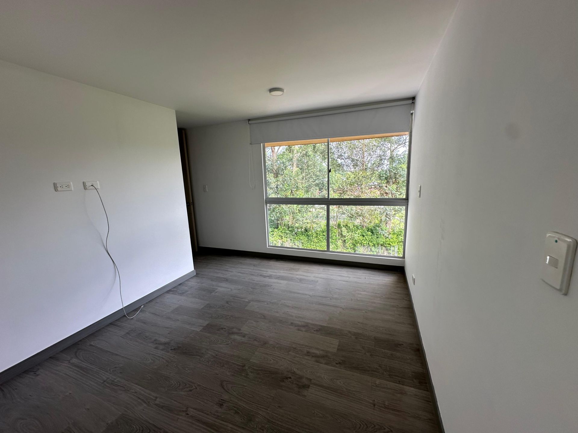 Horizonte verde 1002 (4).jpeg