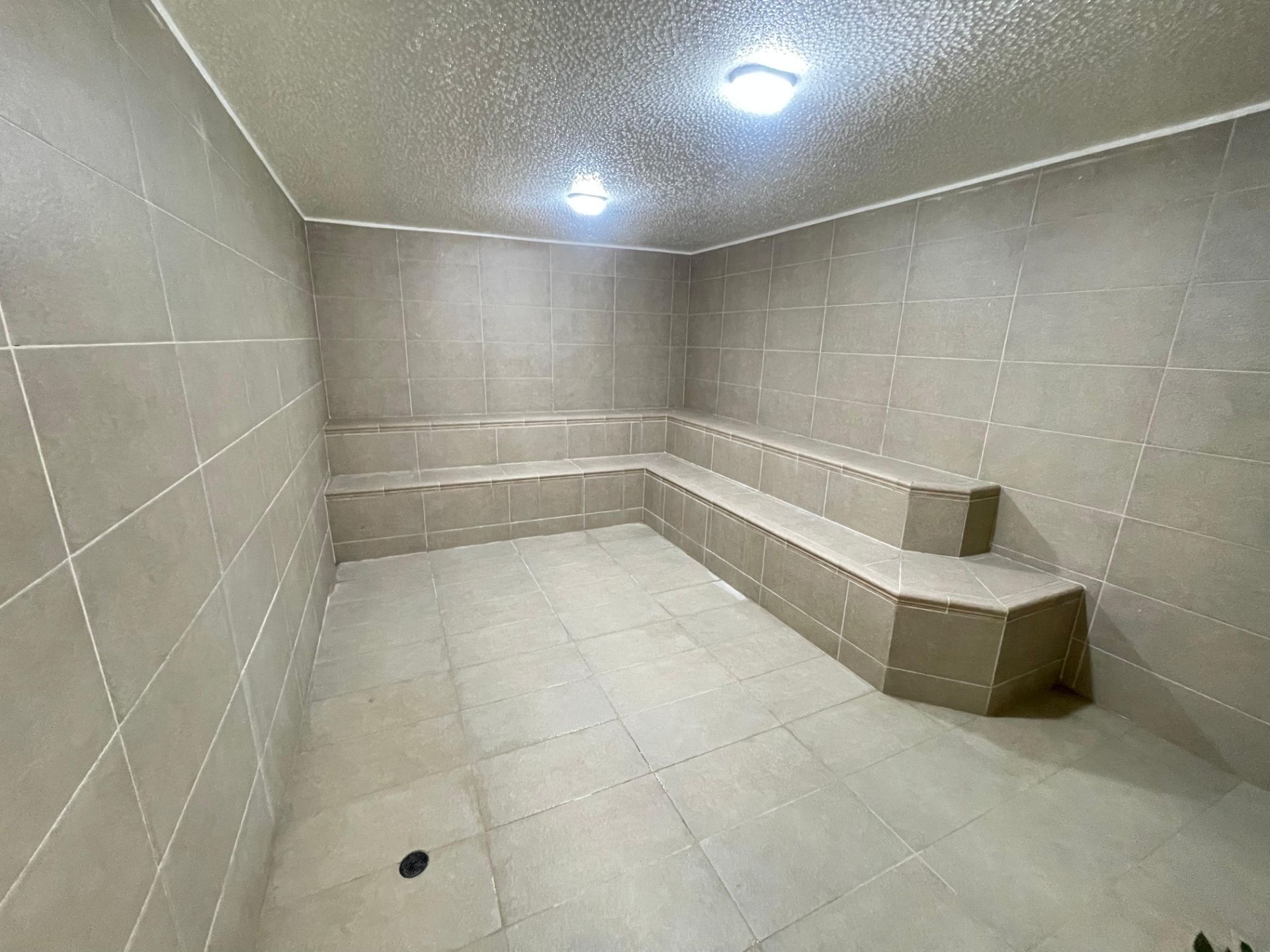 Horizonte verde 1002 (22).jpeg