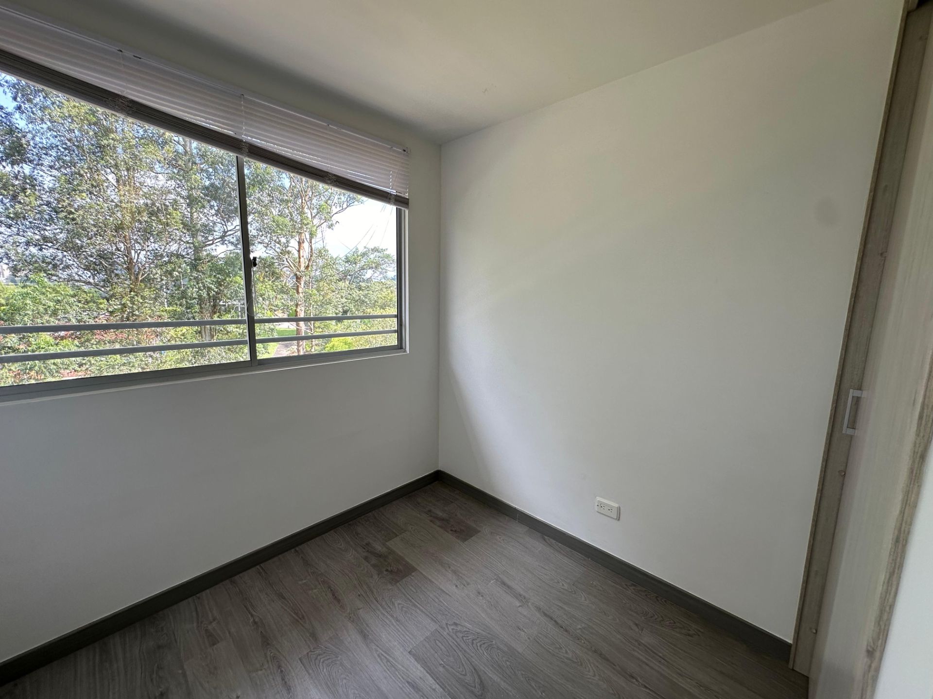 Horizonte verde 1002 (8).jpeg