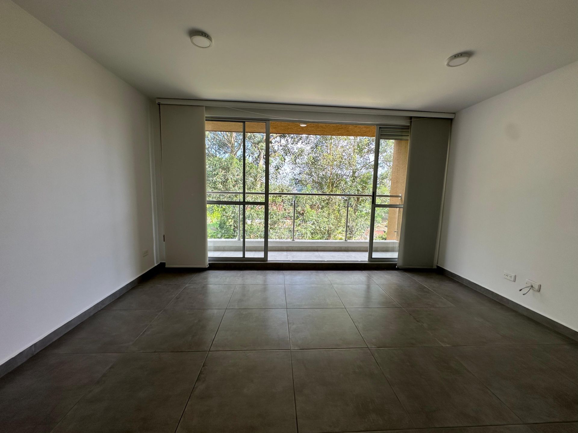 Horizonte verde 1002 (15).jpeg