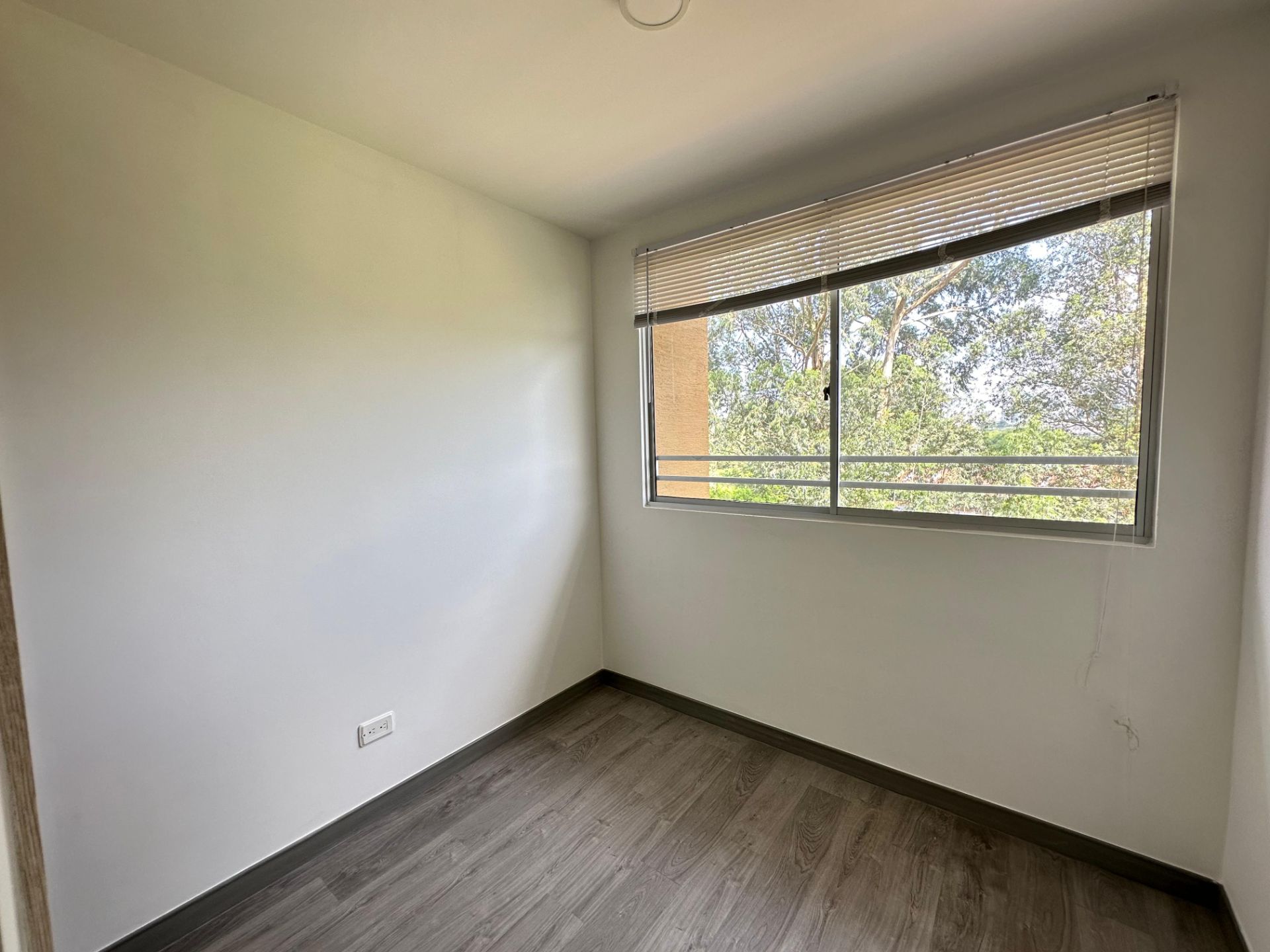 Horizonte verde 1002 (11).jpeg