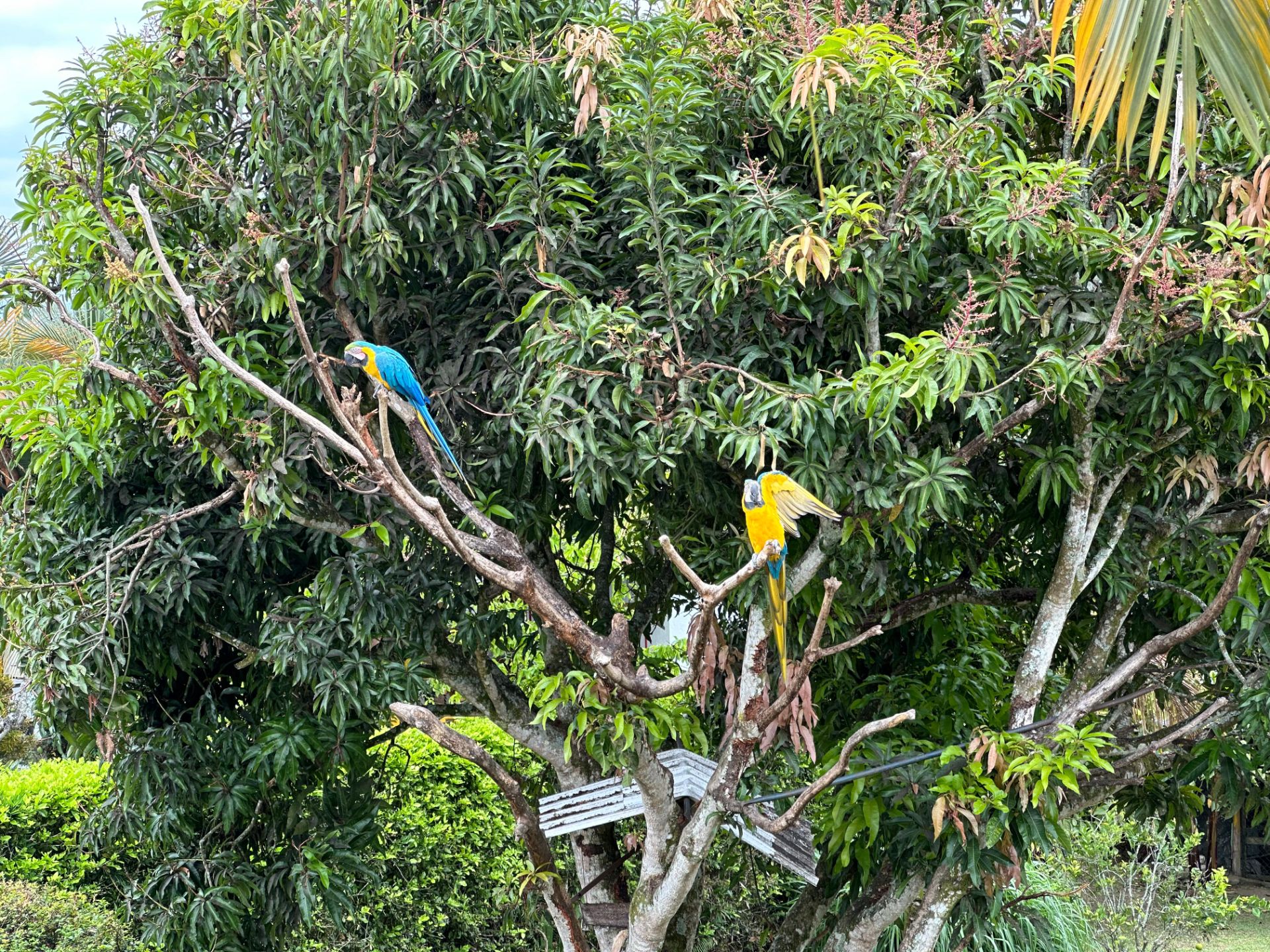 Casa Campestre Para La Venta Sector El Caimo (7).jpeg