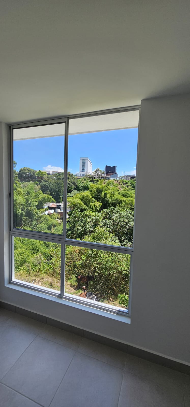 Apartamento Para Venta Sector Avenida Centenario Armenia Quindio (26).jpeg