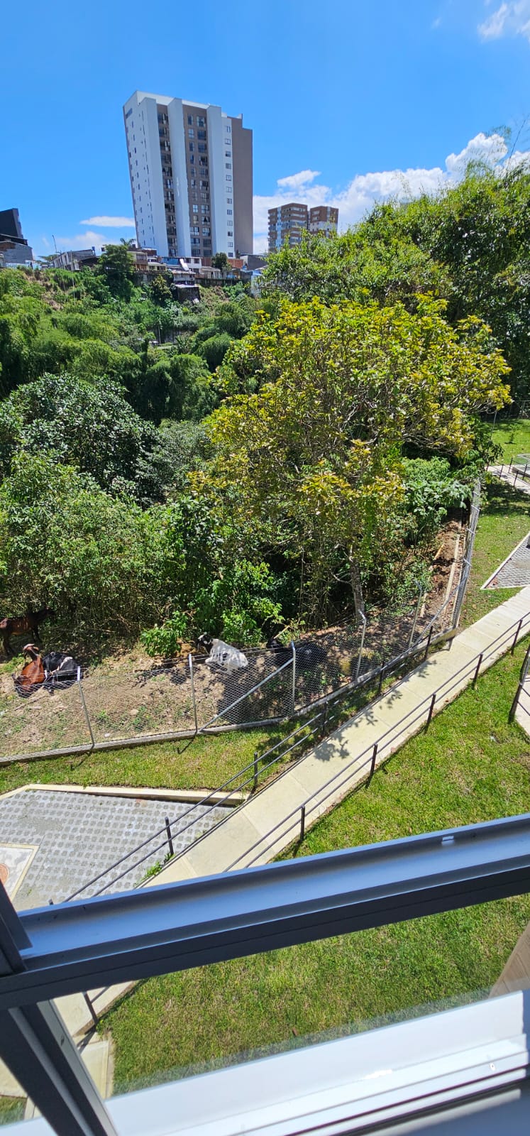 Apartamento Para Venta Sector Avenida Centenario Armenia Quindio (27).jpeg