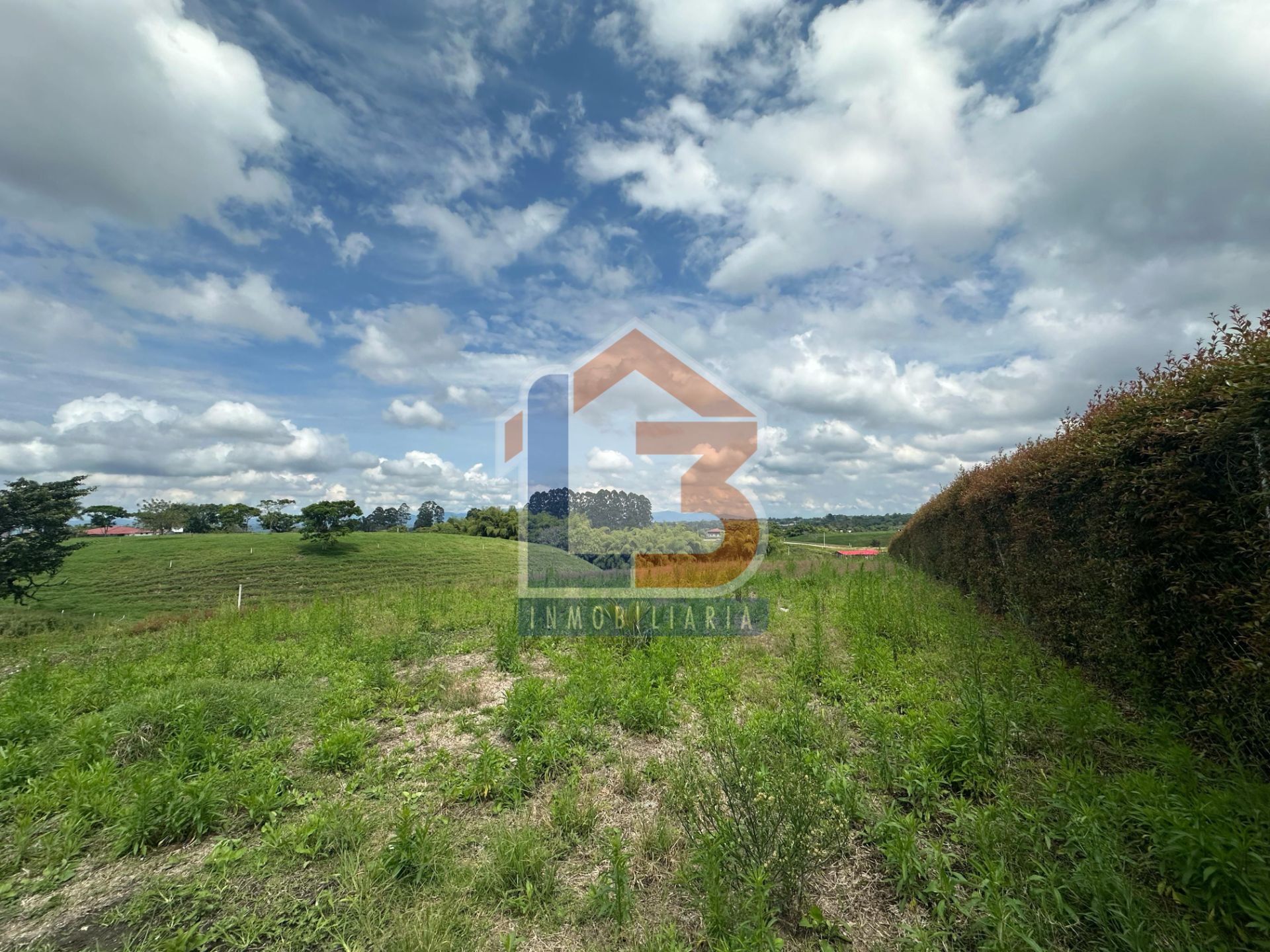 SE VENDE LOTE EN HOJAS ANCHAS  (3).jpg