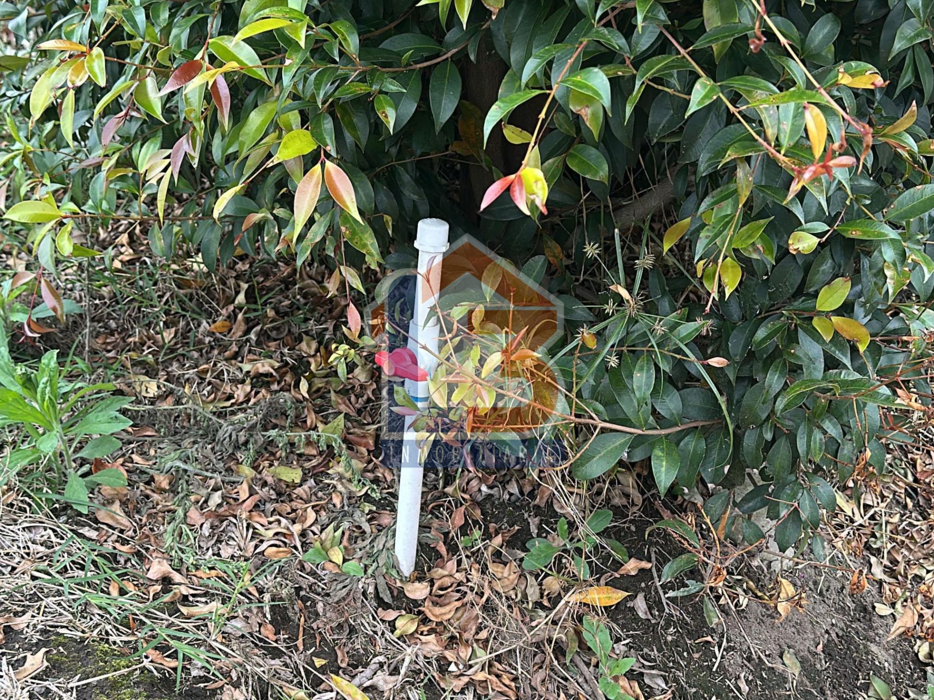 SE VENDE LOTE EN HOJAS ANCHAS  (14).jpg