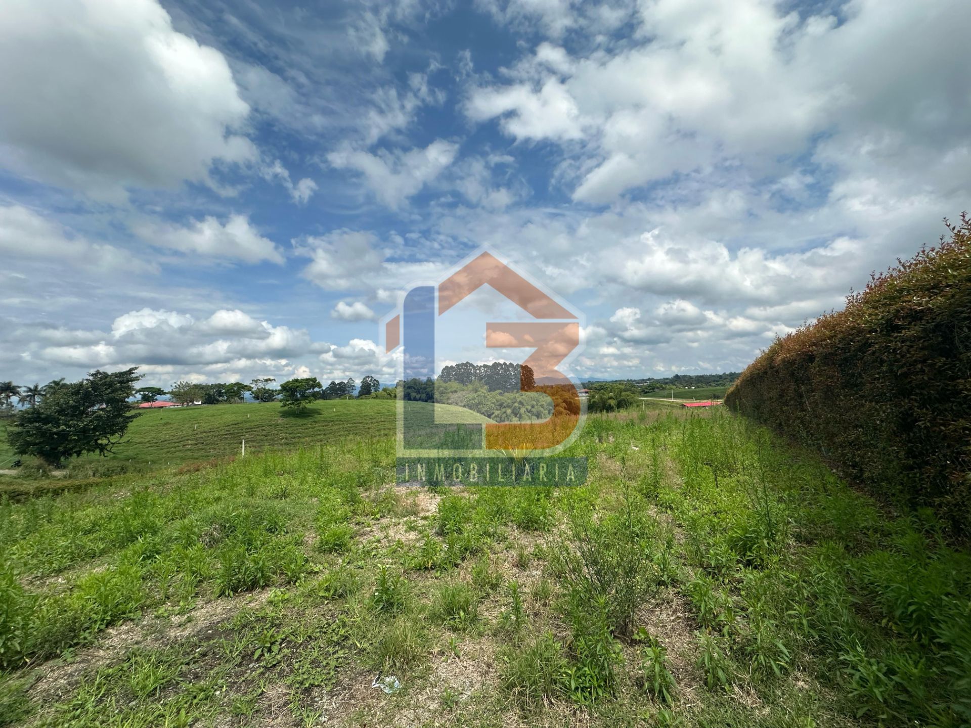SE VENDE LOTE EN HOJAS ANCHAS  (8).jpg