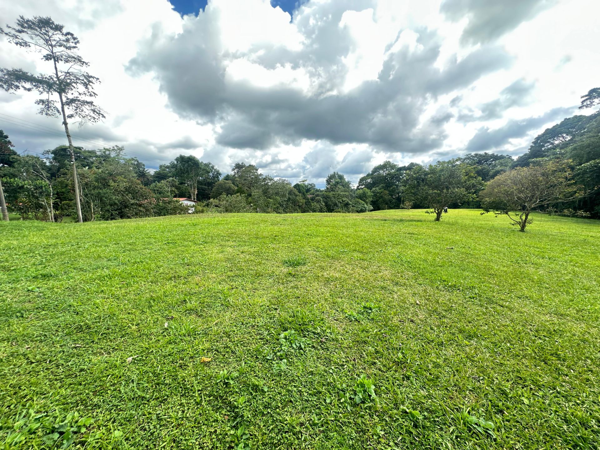 SE VENDE LOTE VÍA CIRCASIA 2..jpg