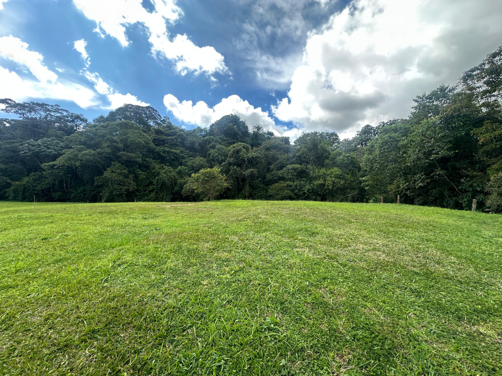 SE VENDE LOTE VÍA CIRCASIA 12..jpg