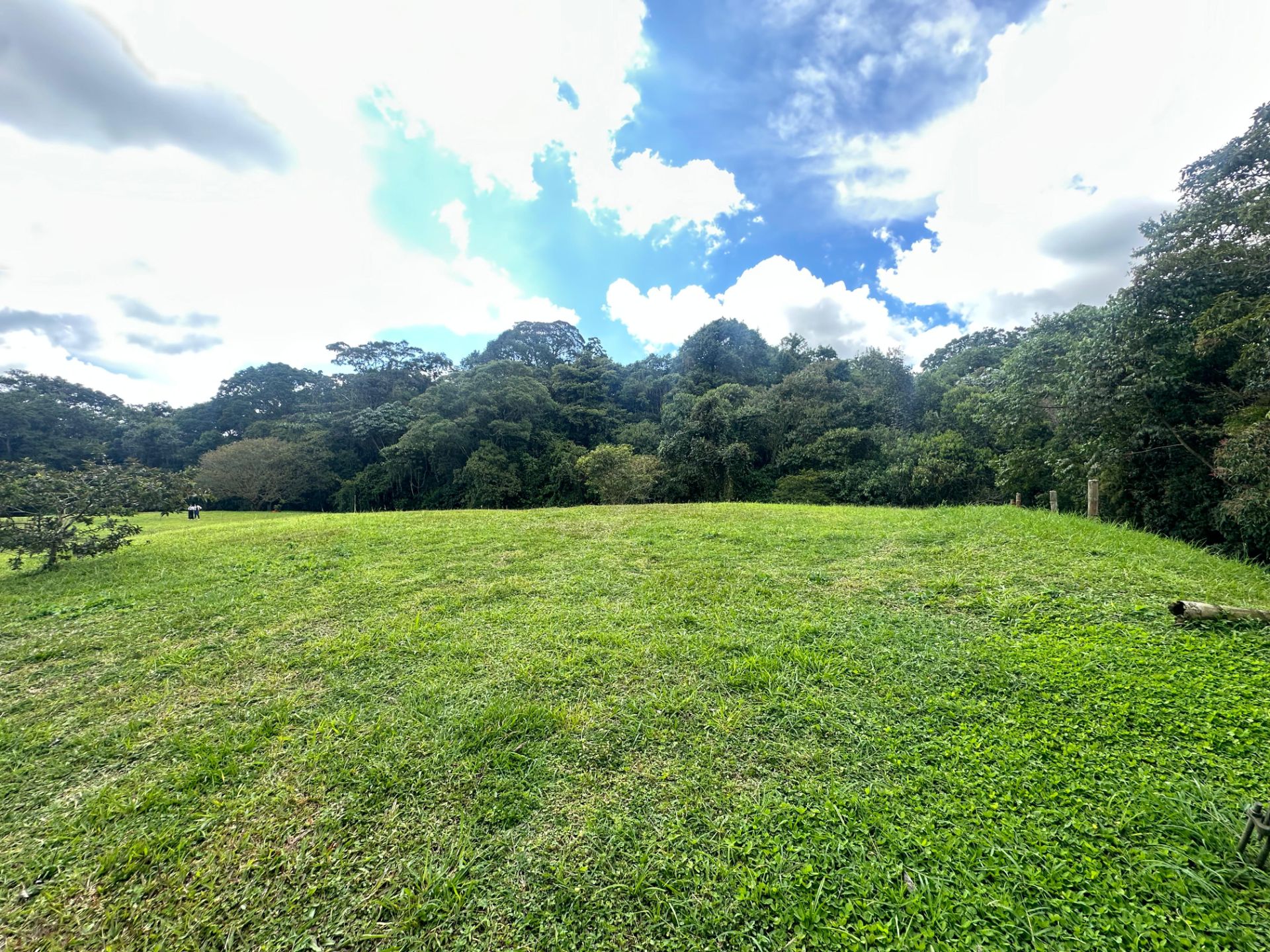 SE VENDE LOTE VÍA CIRCASIA 13..jpg