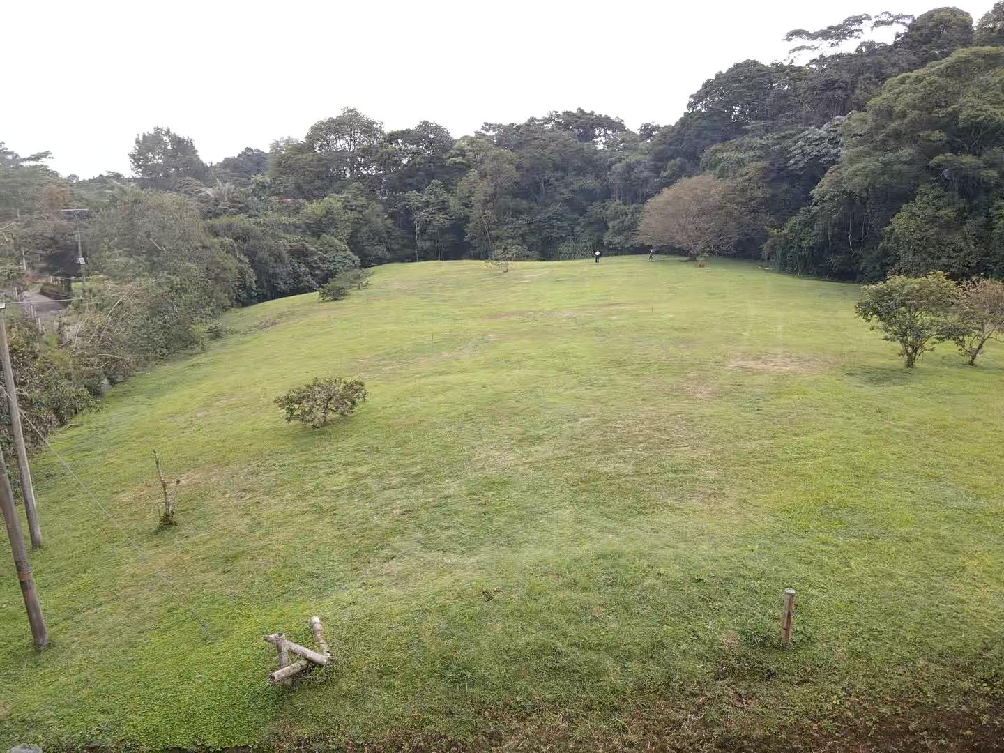 SE VENDE LOTE VÍA CIRCASIA 16..jpg