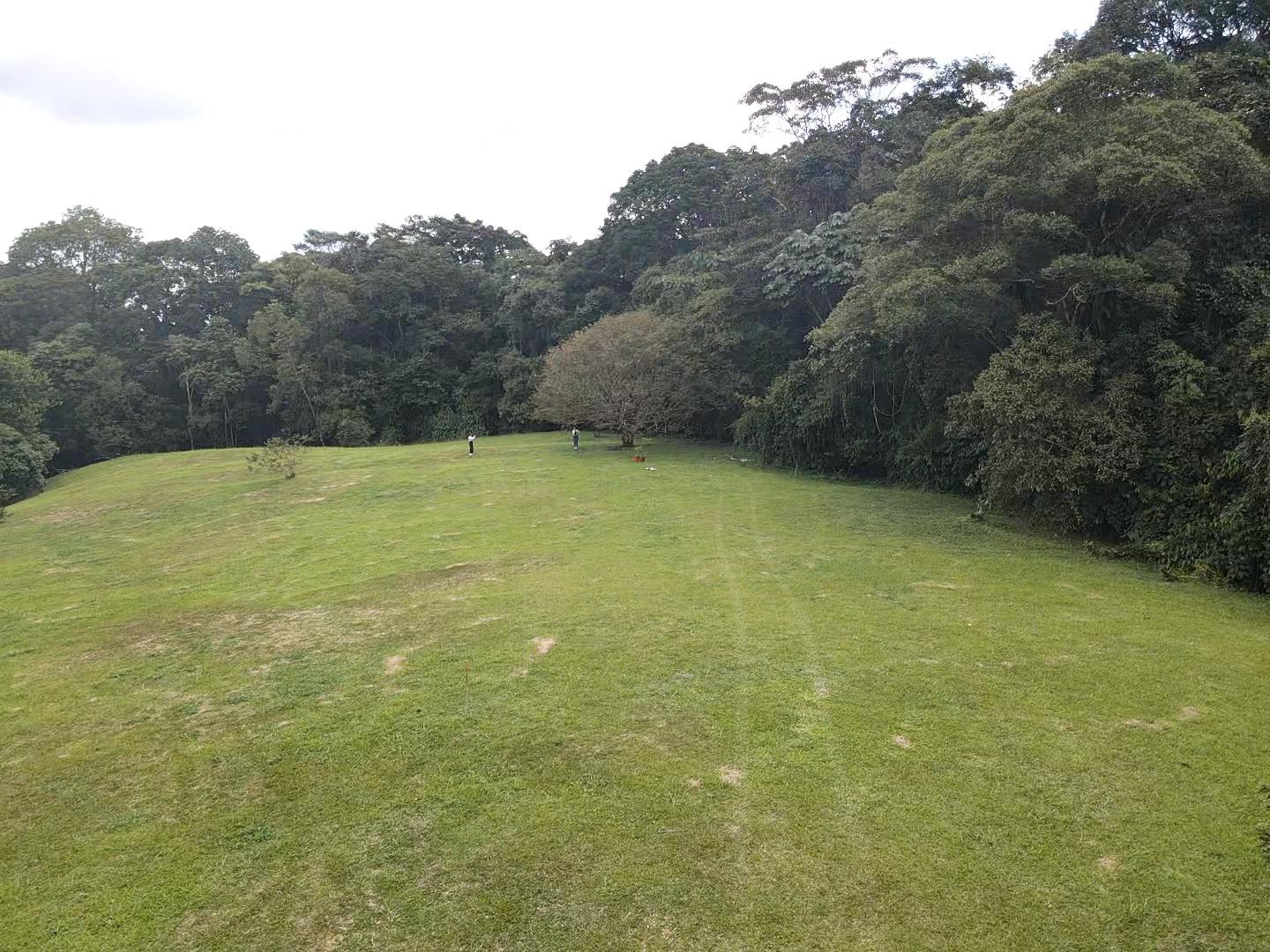 SE VENDE LOTE VÍA CIRCASIA 25..jpg