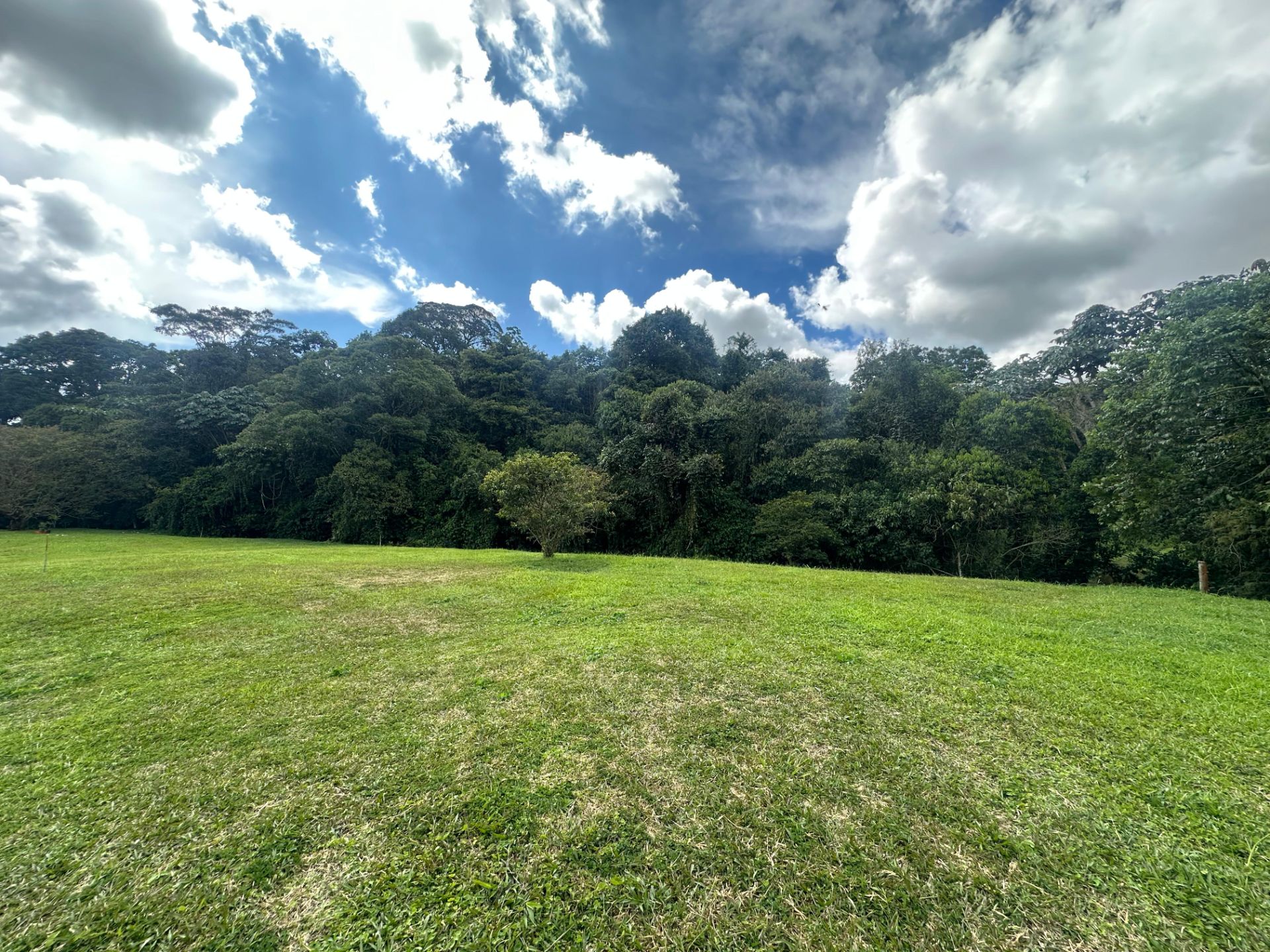 SE VENDE LOTE VÍA CIRCASIA 27..jpg