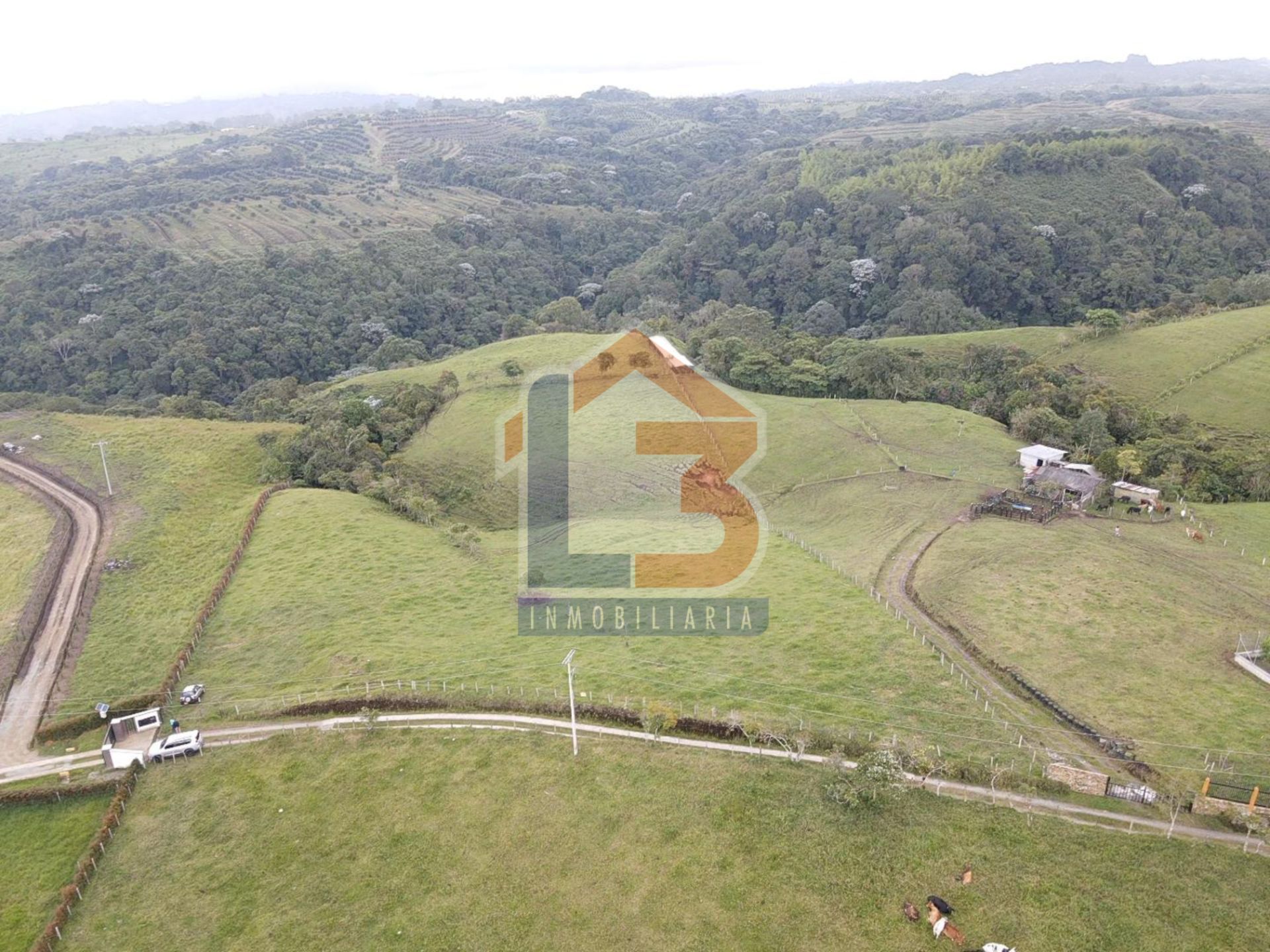 SE VENDE LOTE CIRCASIA (9).jpg