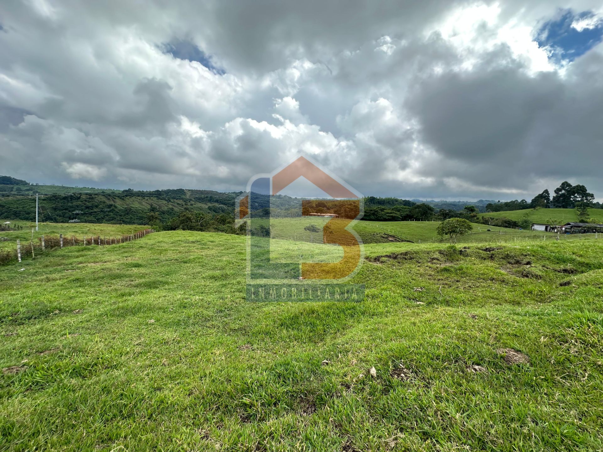 SE VENDE LOTE CIRCASIA (12).jpg